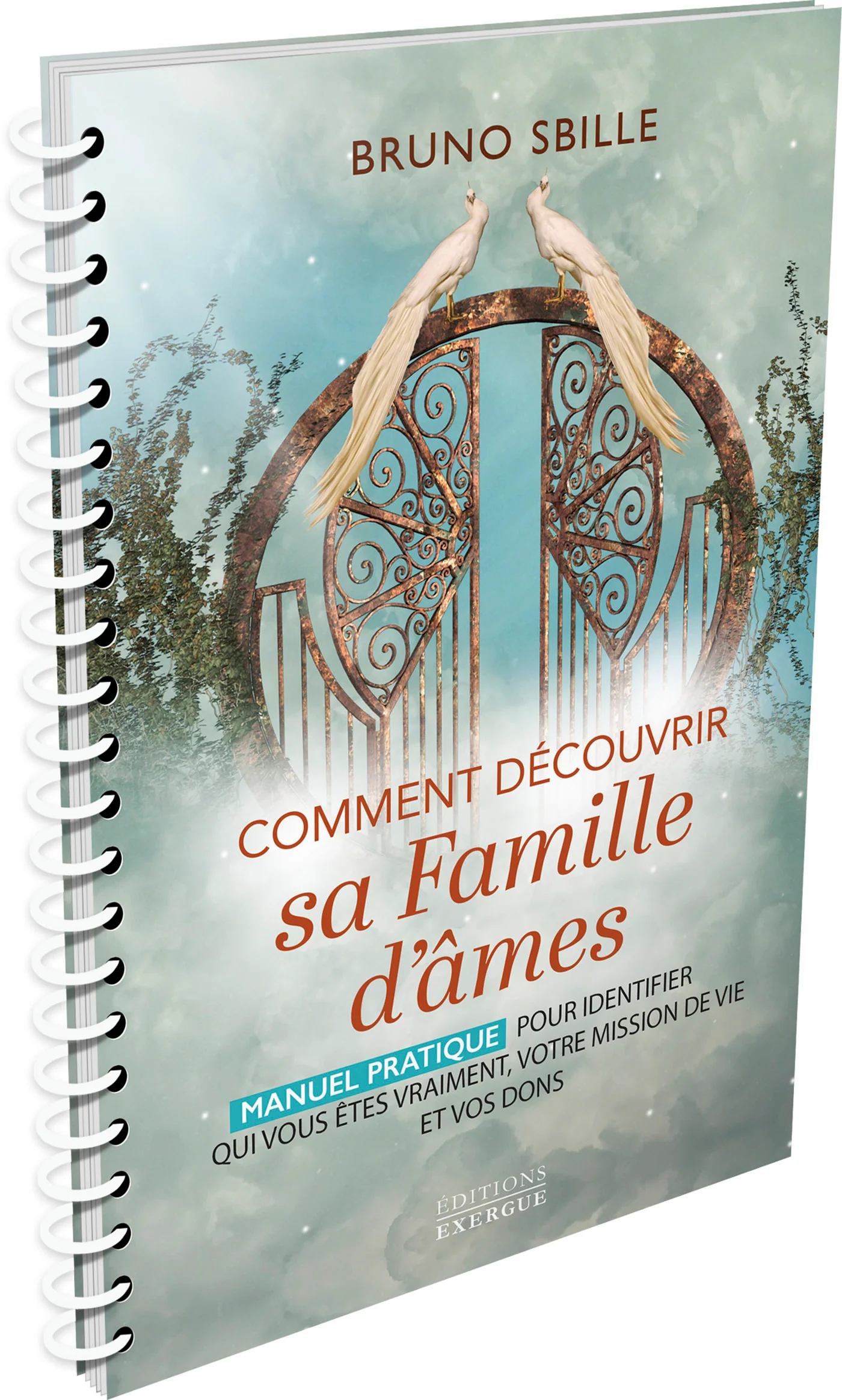 Comment découvrir sa famille d'âmes - Manuel pratique pour identifier qui vous êtes vraiment, votre mission de vie et vos dons - Image 3