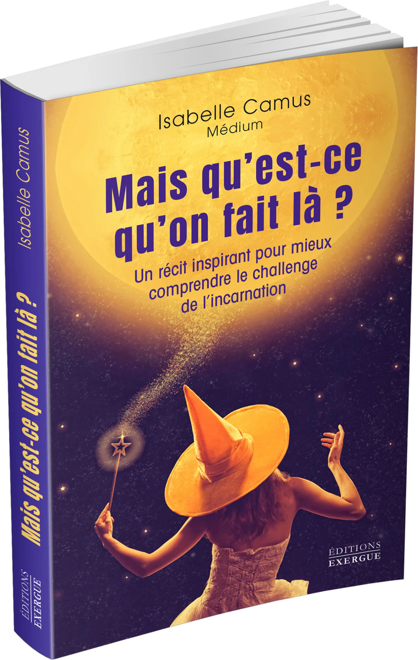 Mais qu'est-ce qu'on fait là ? - Un récit inspirant pour mieux comprendre le challenge de l'incarnation - Image 3