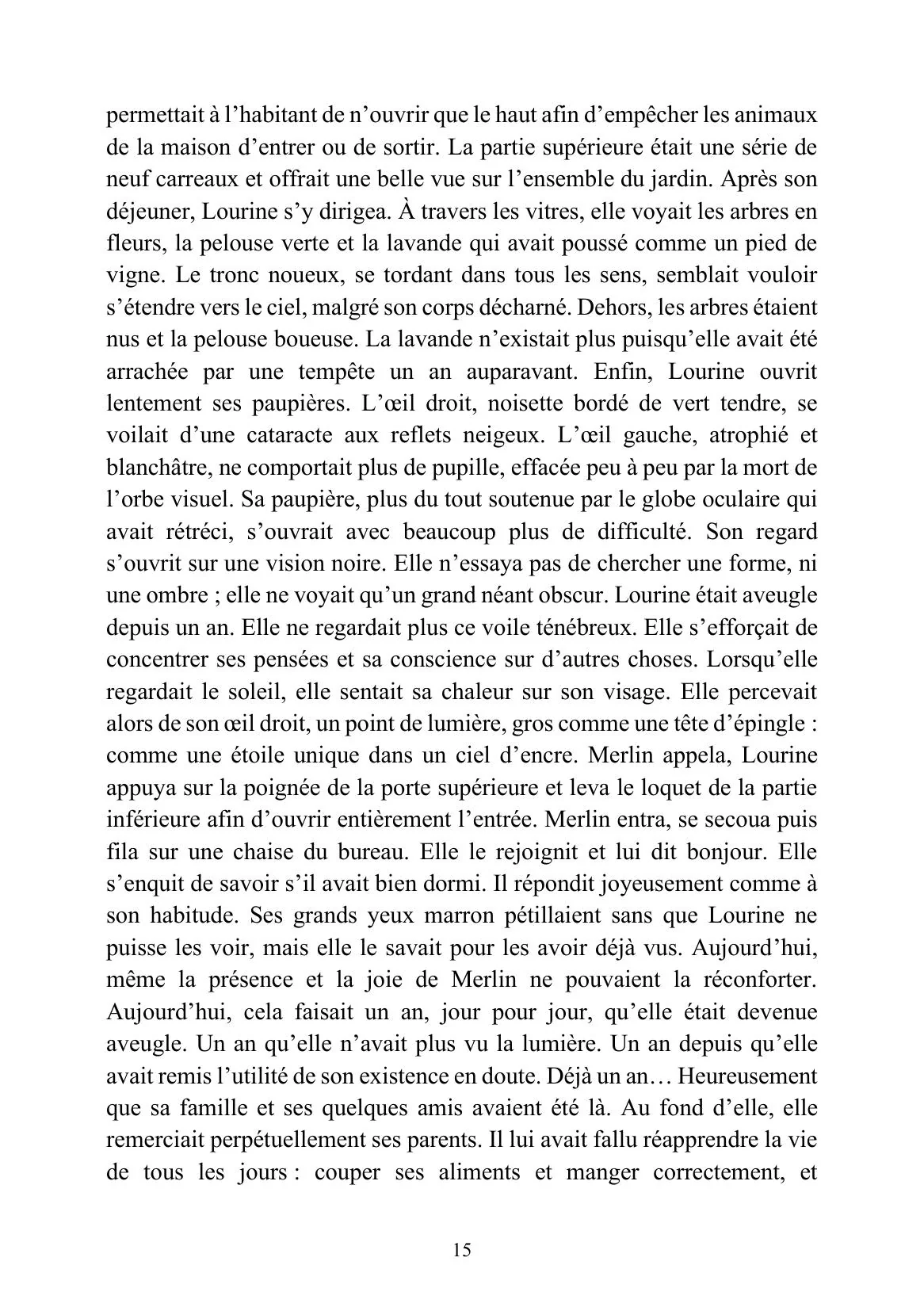 Feihwauz : Réveillé des Brumes - Tome I - Image 28