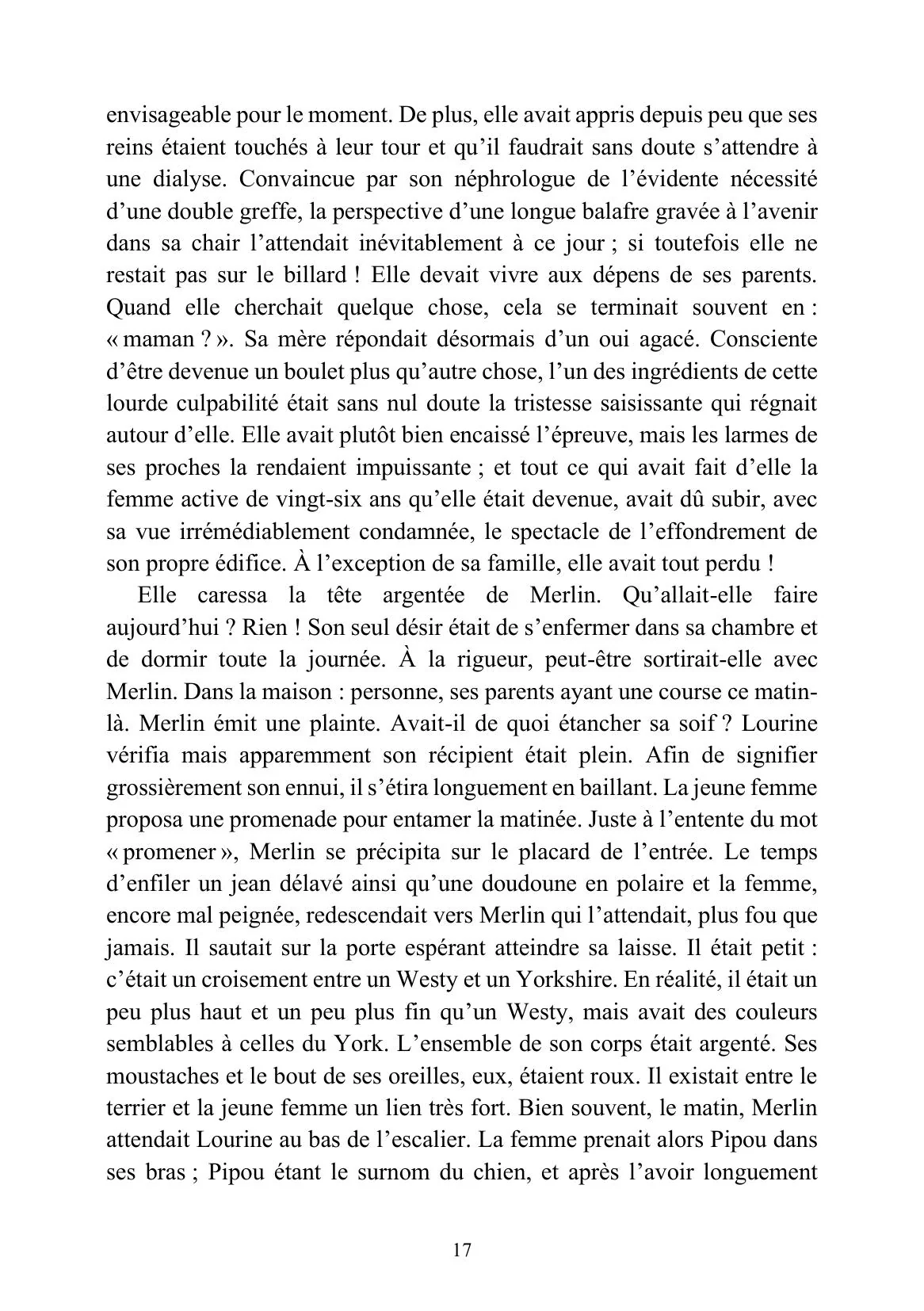 Feihwauz : Réveillé des Brumes - Tome I - Image 30