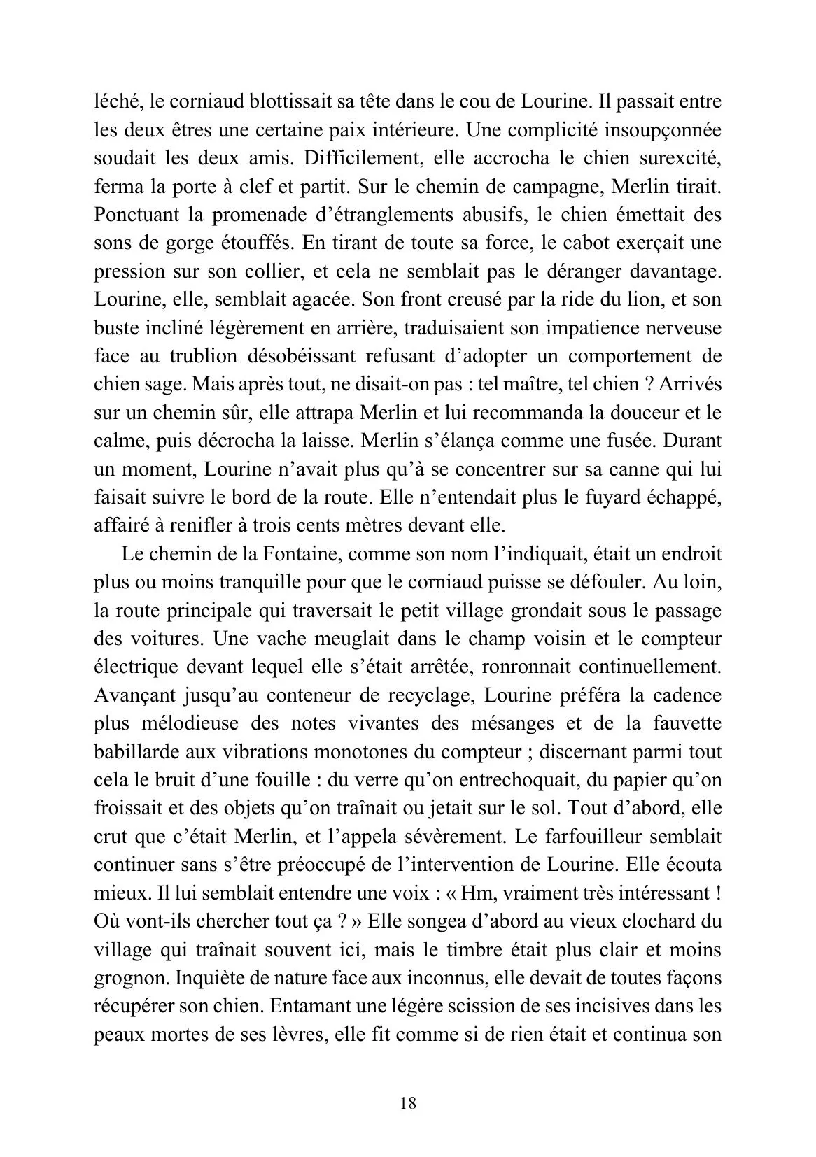 Feihwauz : Réveillé des Brumes - Tome I - Image 31