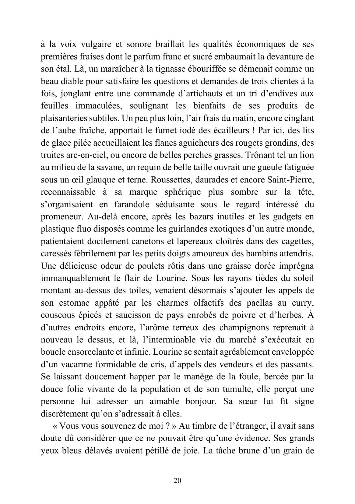 Feihwauz : Réveillé des Brumes - Tome I - Image 7