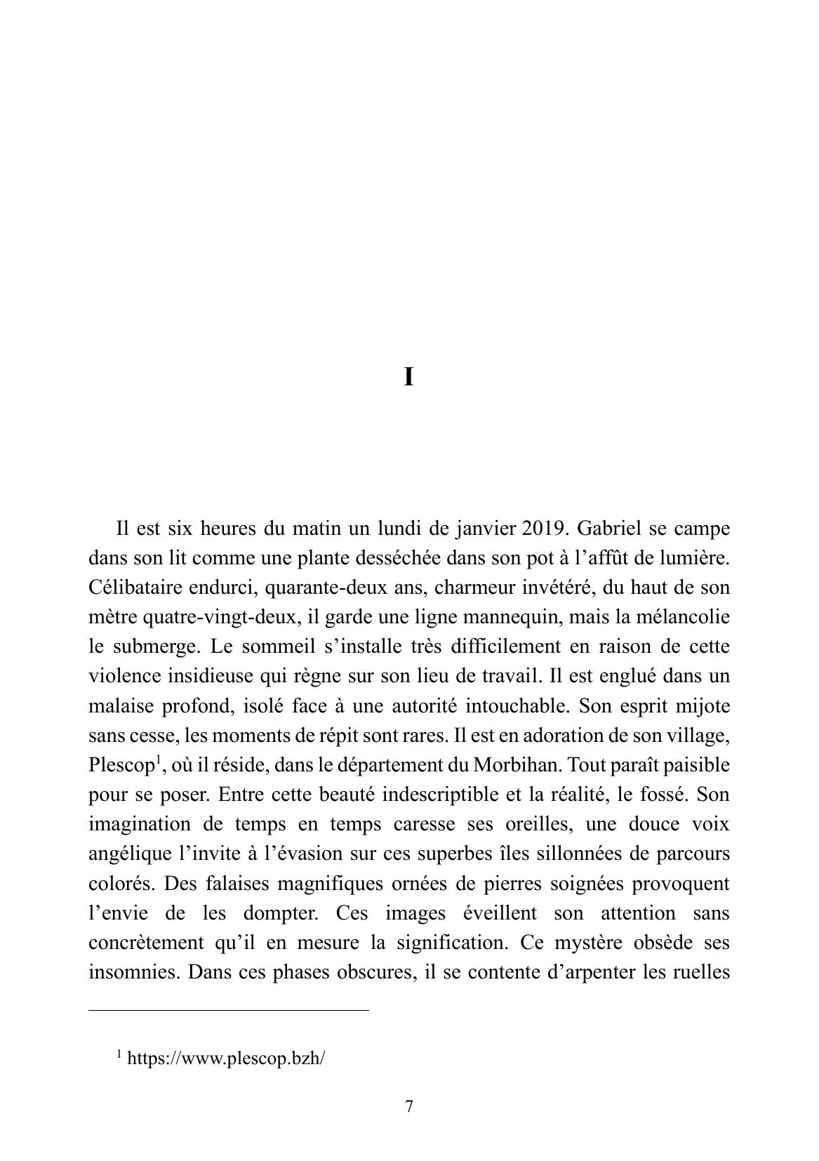 Malaise en falaise - Image 20