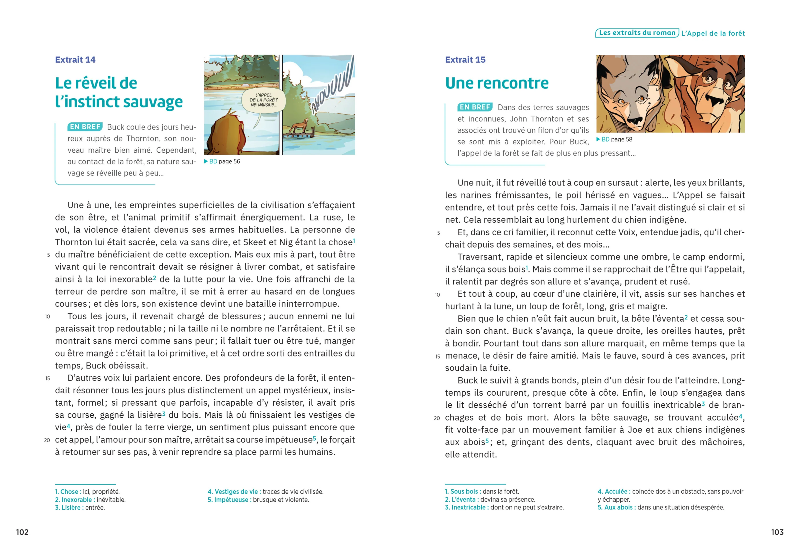 L'Appel de la Forêt - la BD & des extraits du roman - Image 4