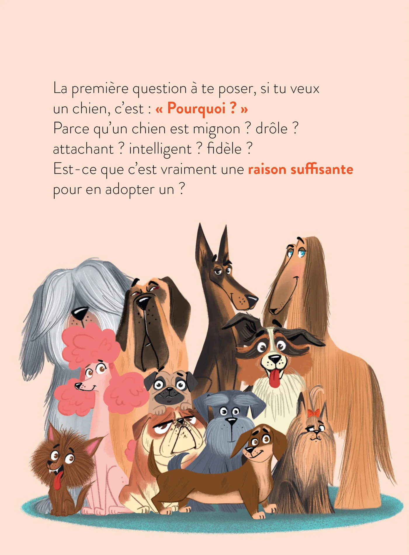 Le monde dont tu es le héros - Adopter un chien - 7/9 ans CE1/CE2 - Image 6