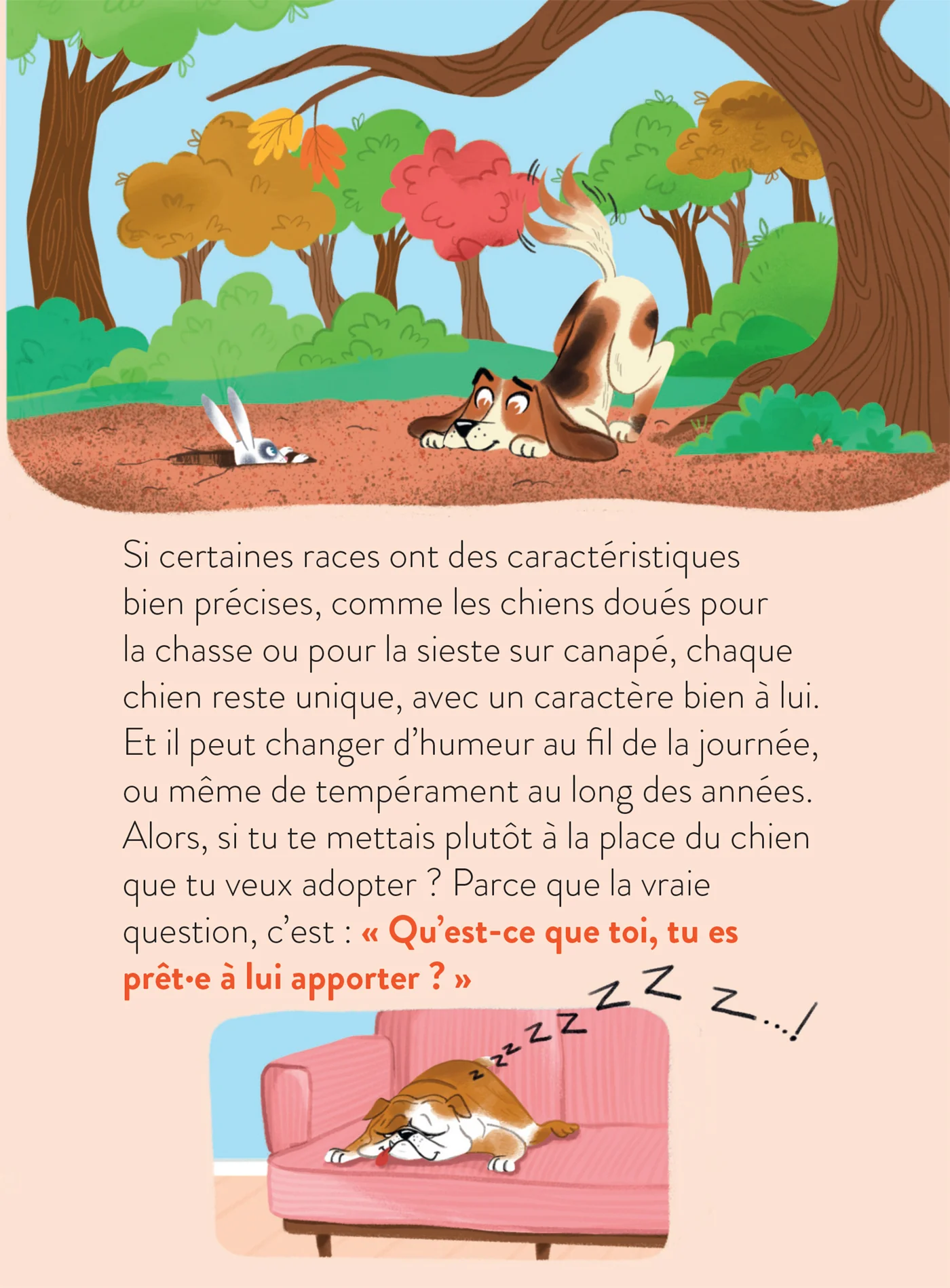 Le monde dont tu es le héros - Adopter un chien - 7/9 ans CE1/CE2 - Image 7
