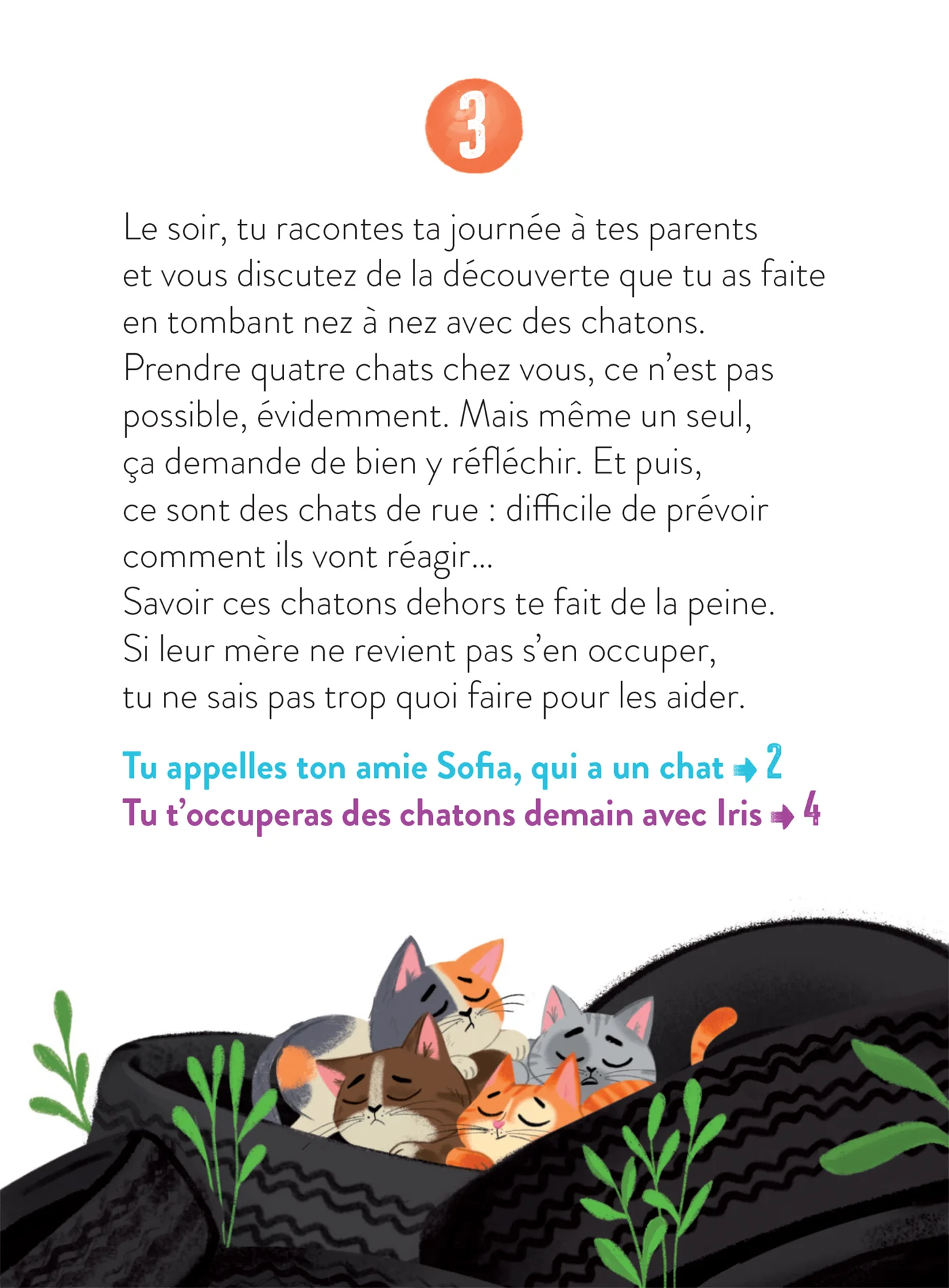 Le monde dont tu es le héros - Adopter un chat - 7/9 ans CE1/CE2 - Image 11