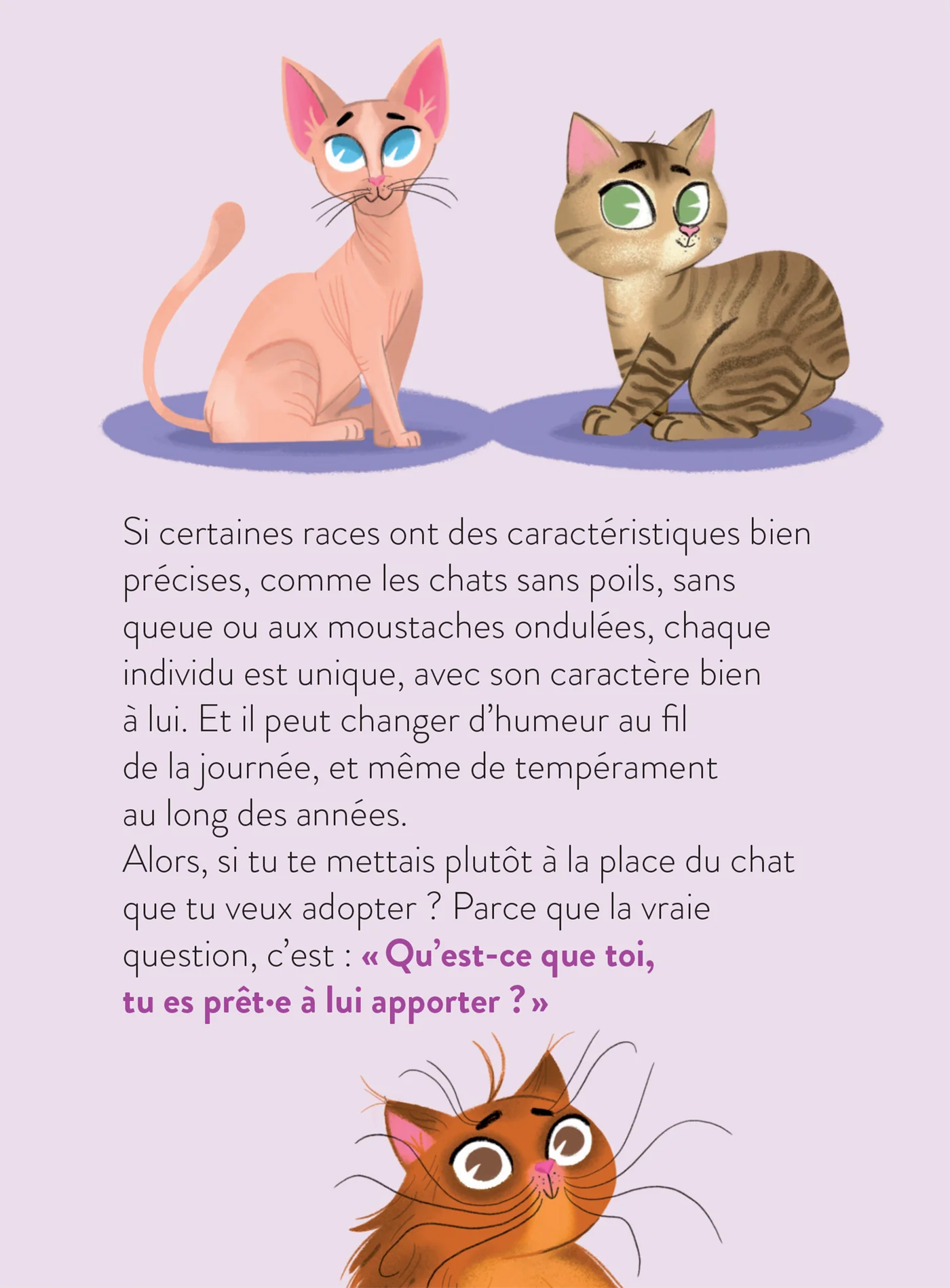 Le monde dont tu es le héros - Adopter un chat - 7/9 ans CE1/CE2 - Image 7