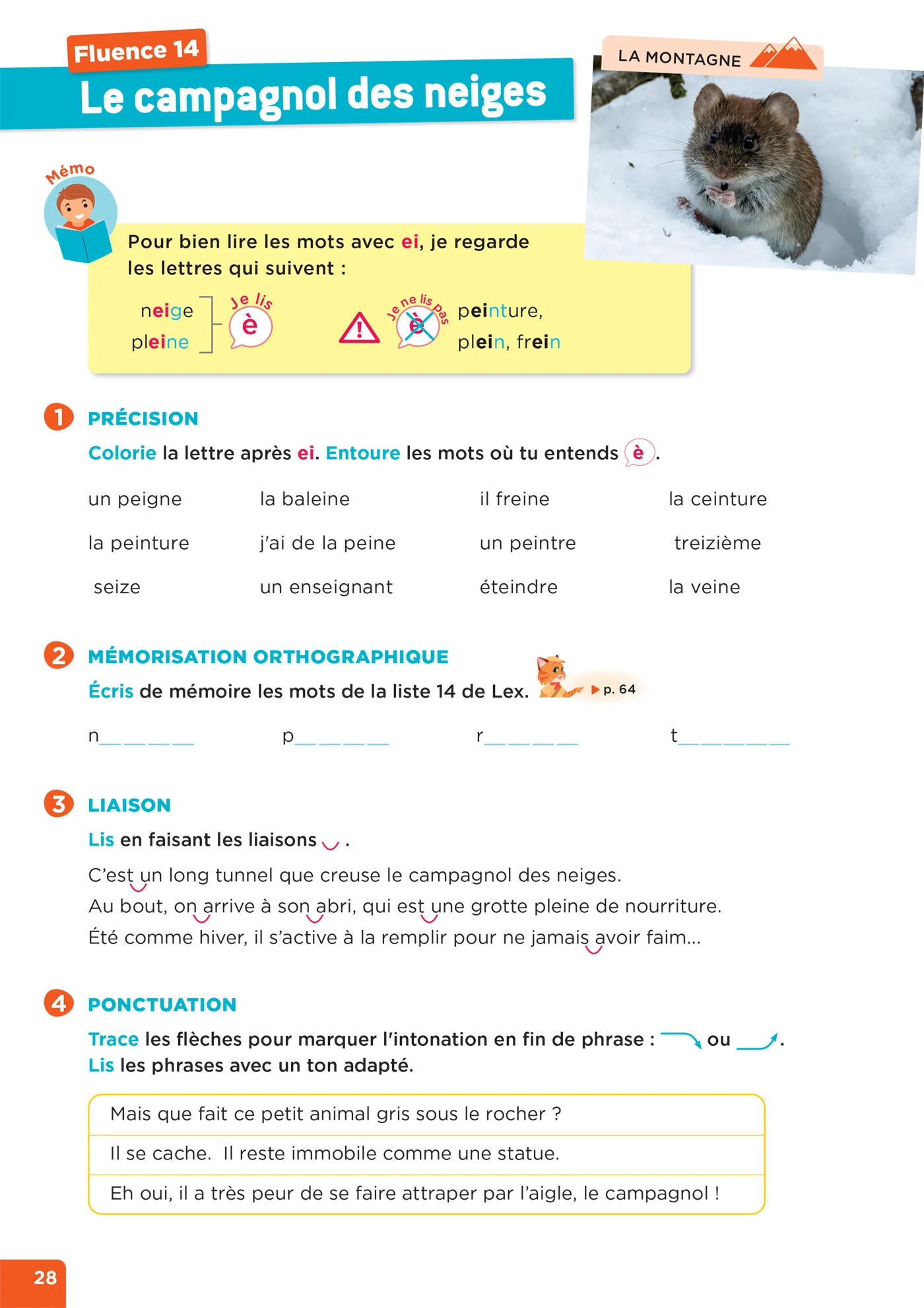 En route pour la fluence ! CE1 - Les animaux de nos régions - Ed. 2026 - Cahier élève - Image 15