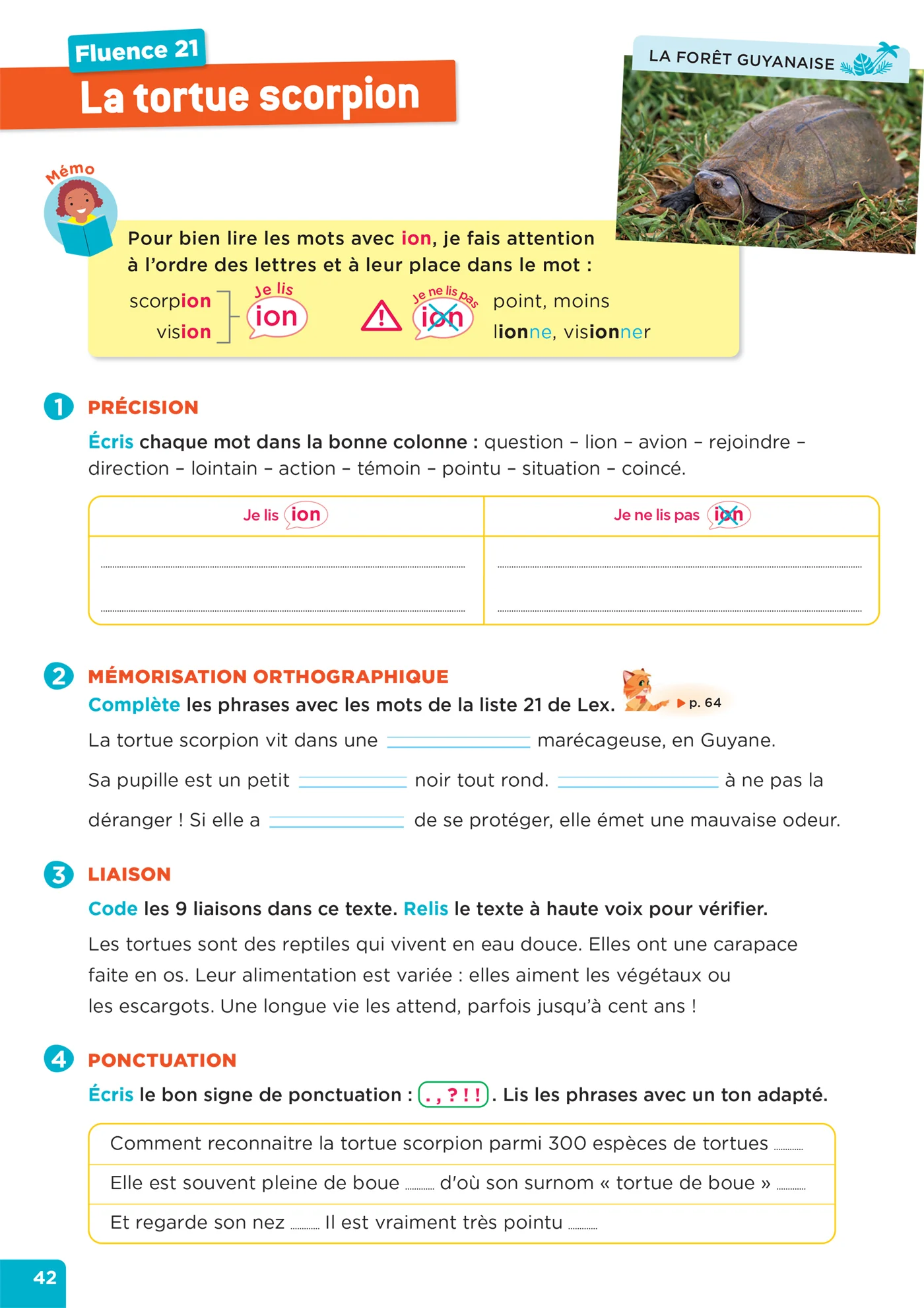 En route pour la fluence ! CE1 - Les animaux de nos régions - Ed. 2026 - Cahier élève - Image 17