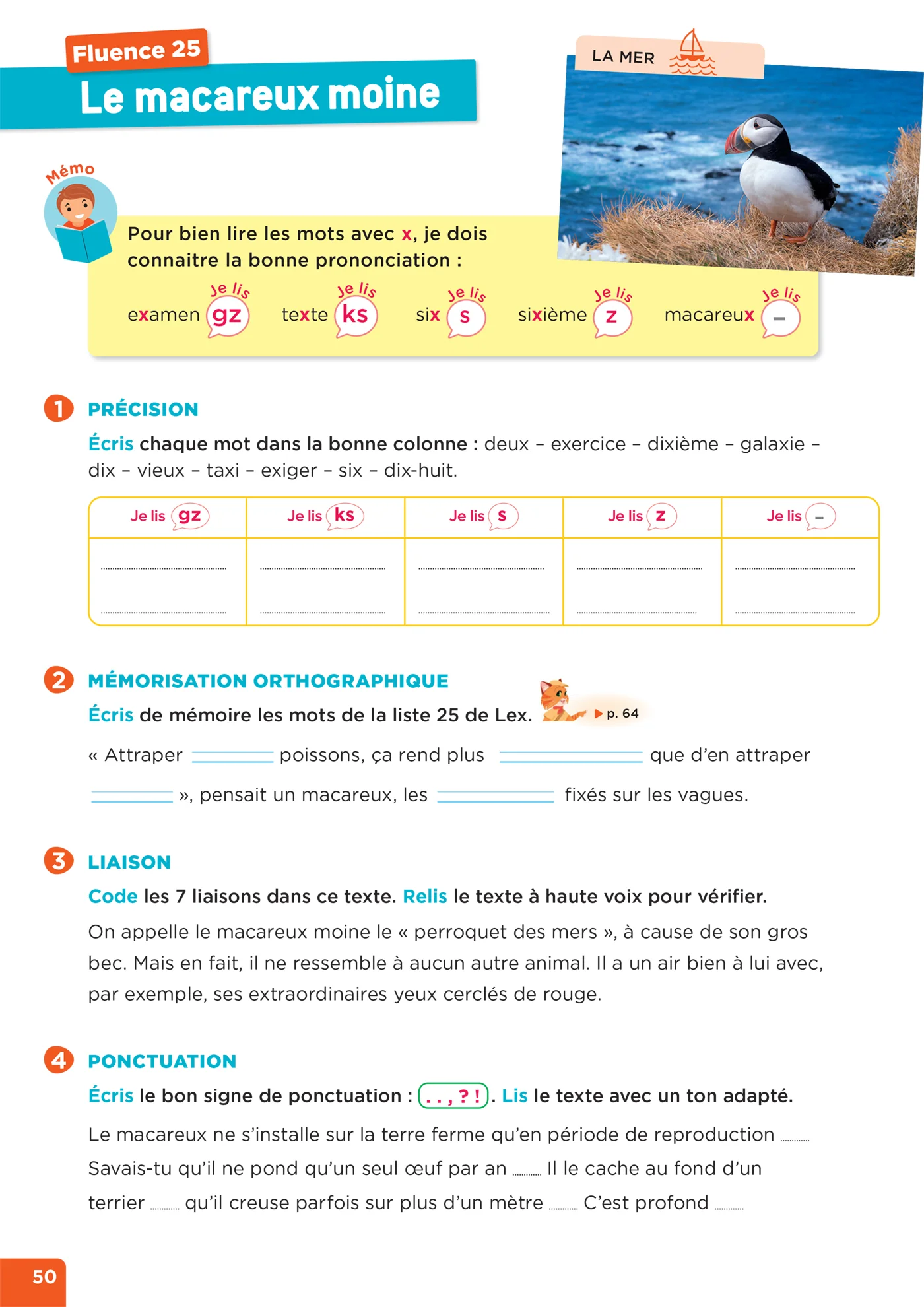 En route pour la fluence ! CE1 - Les animaux de nos régions - Ed. 2026 - Cahier élève - Image 19