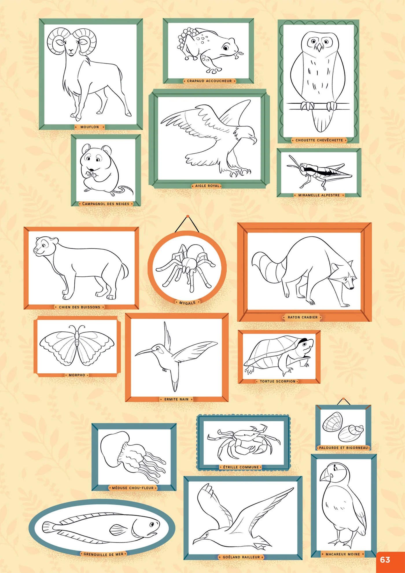 En route pour la fluence ! CE1 - Les animaux de nos régions - Ed. 2026 - Cahier élève - Image 5
