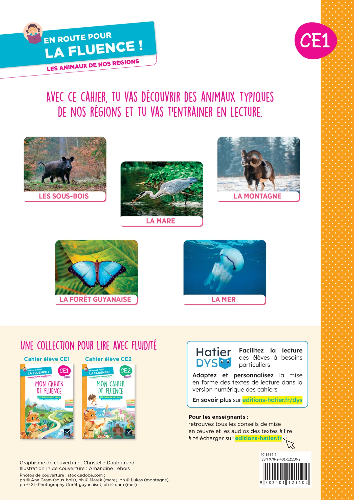 En route pour la fluence ! CE1 - Les animaux de nos régions - Ed. 2026 - Cahier élève - Image 8