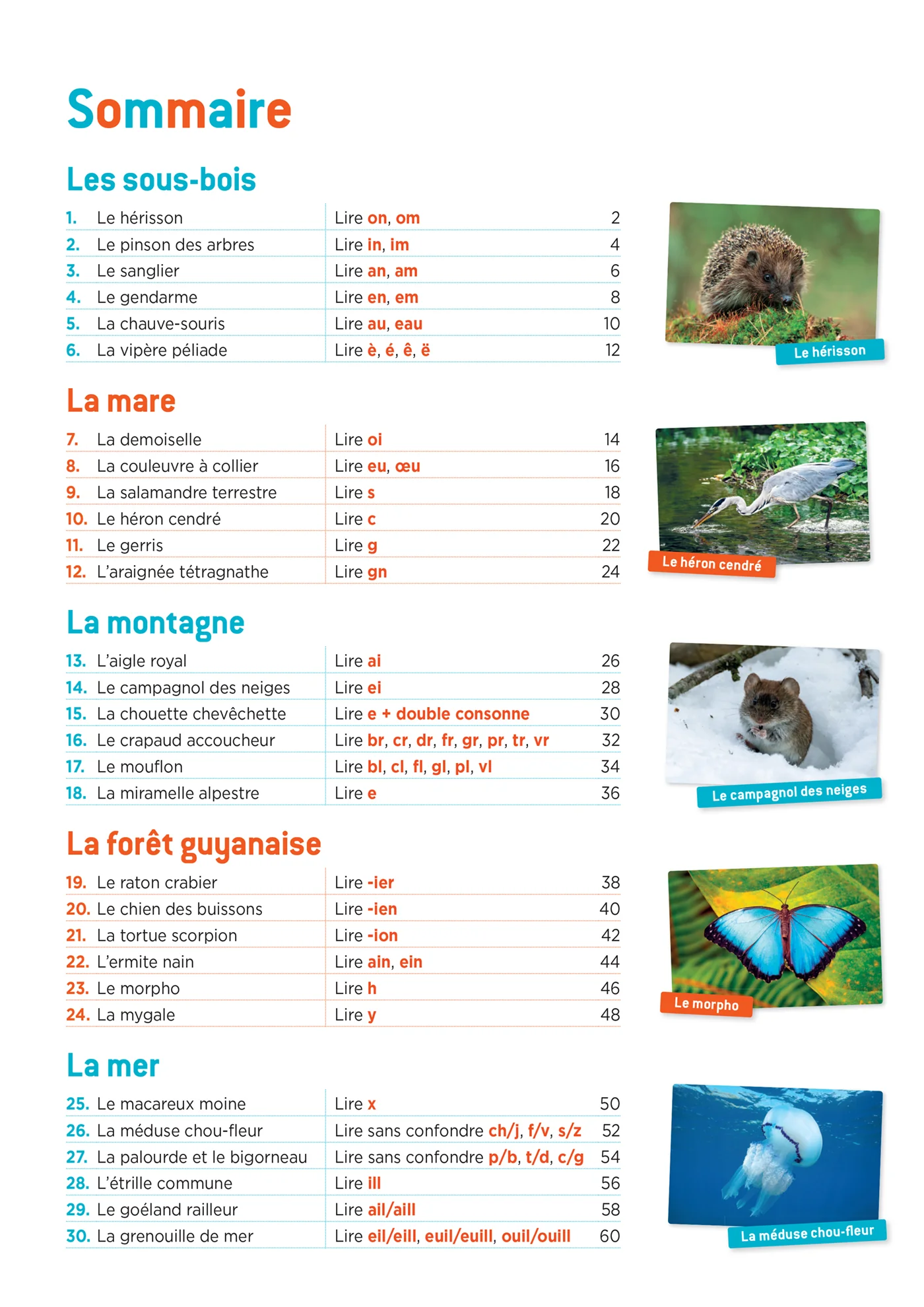 En route pour la fluence ! CE1 - Les animaux de nos régions - Ed. 2026 - Cahier élève - Image 9