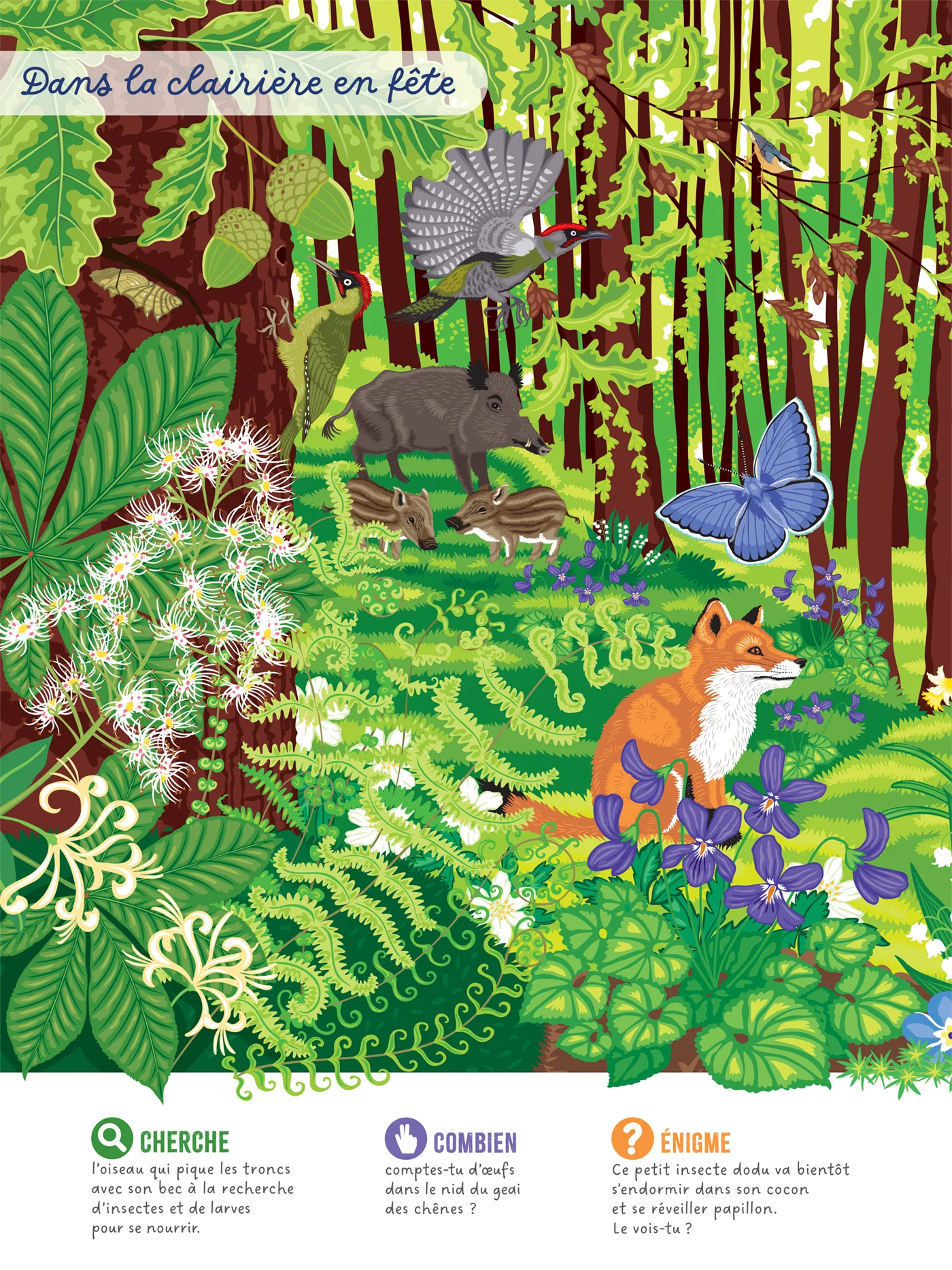 Mon cherche et trouve dans la nature - Image 11