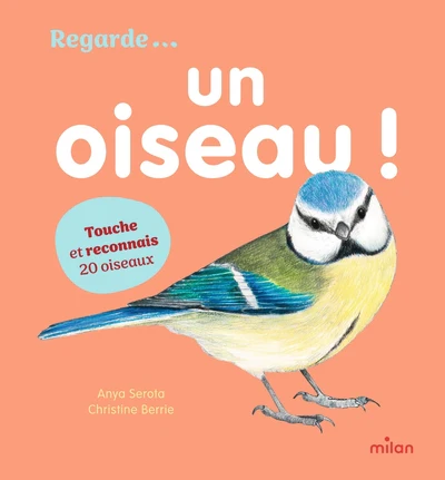 Un oiseau ! - Image 2