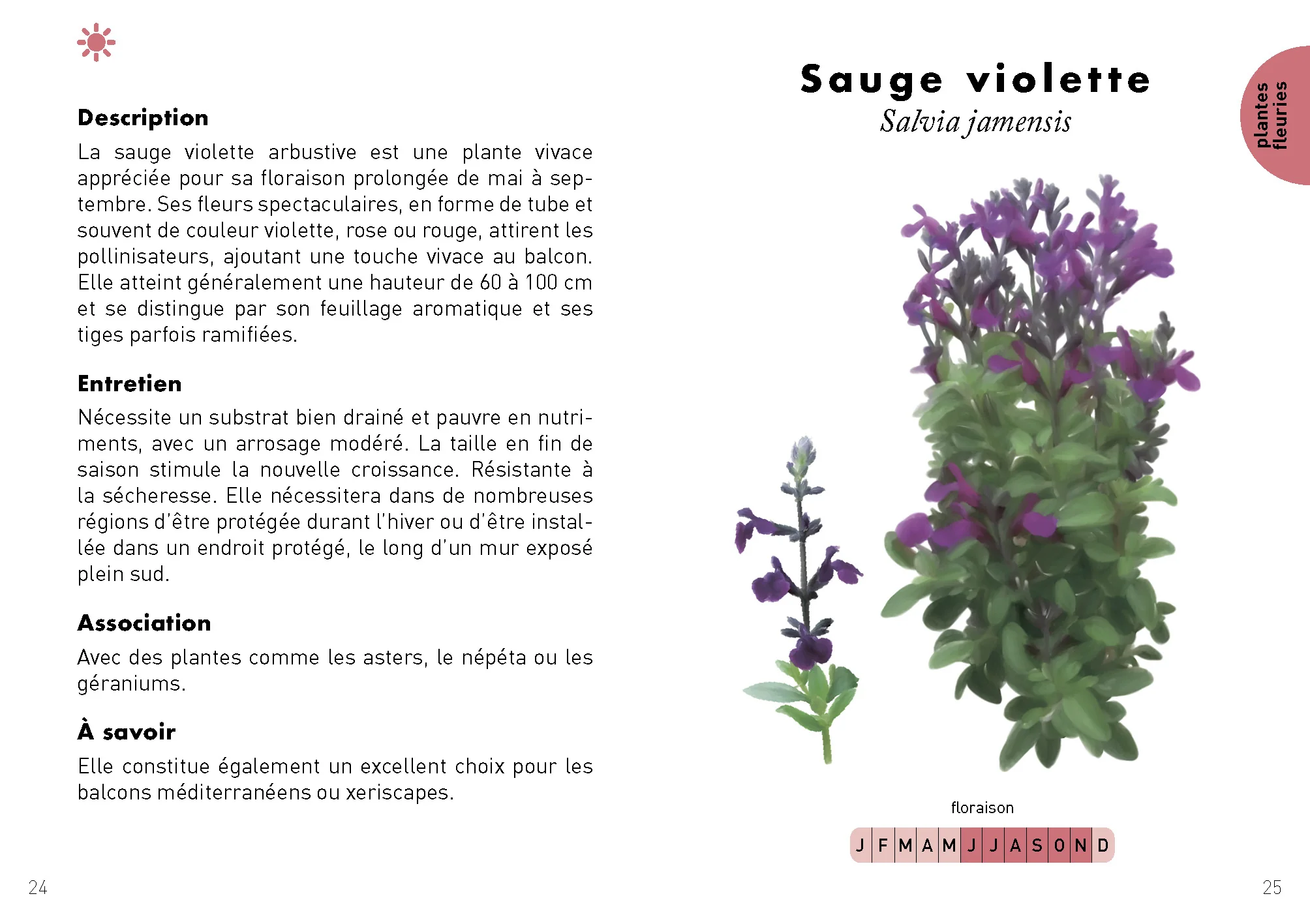 Le Petit Guide du balcon - Image 3