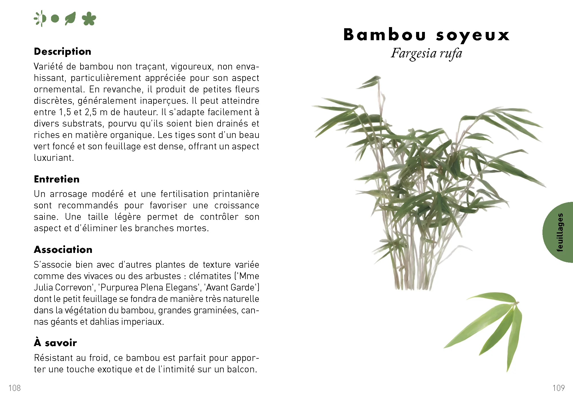 Le Petit Guide du balcon - Image 4