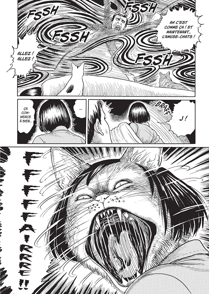 Le Journal des chats - Édition prestige - Image 3