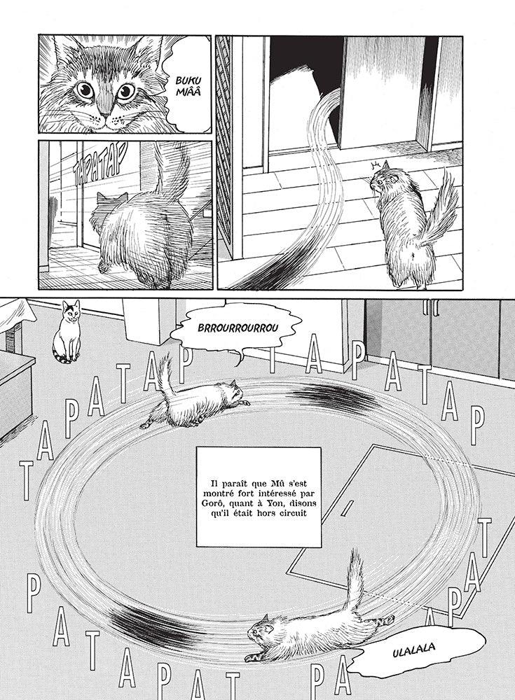 Le Journal des chats - Édition prestige - Image 4