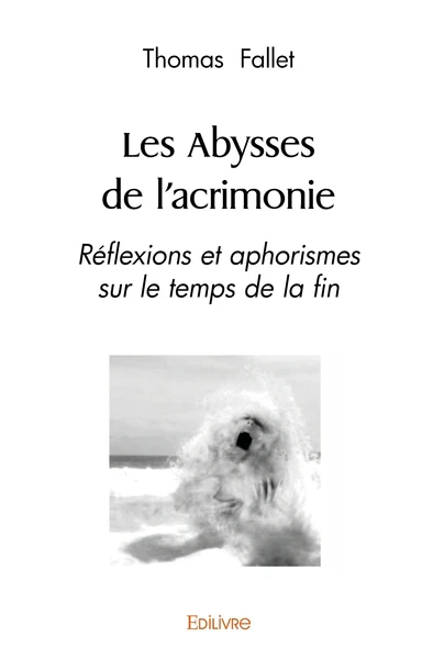 Les Abysses de l'acrimonie - Image 2