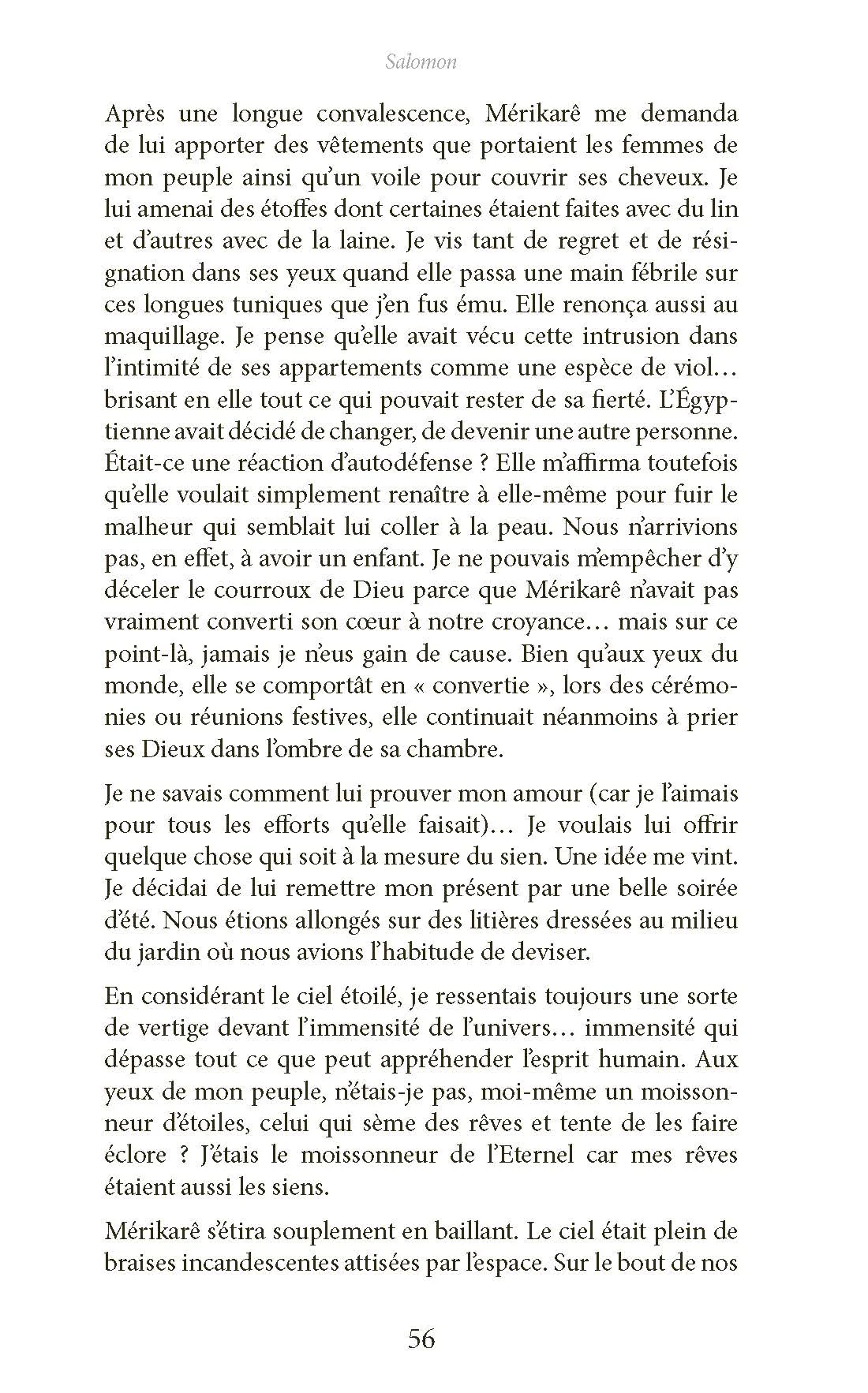 Salomon - Image 3