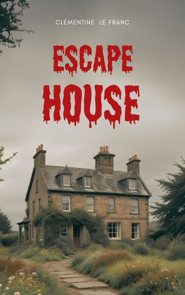Escape house - Image 3