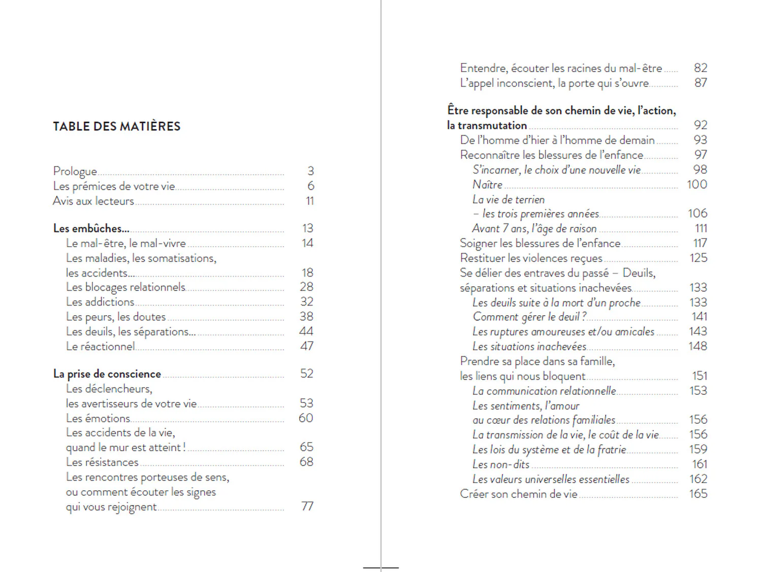Les Blessures de l'enfance - Les soigner pour construire son chemin de vie - Image 16