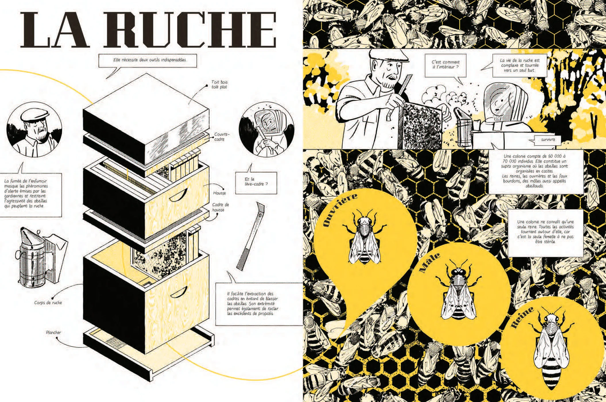 Les abeilles se cachent pour mourir - Image 3
