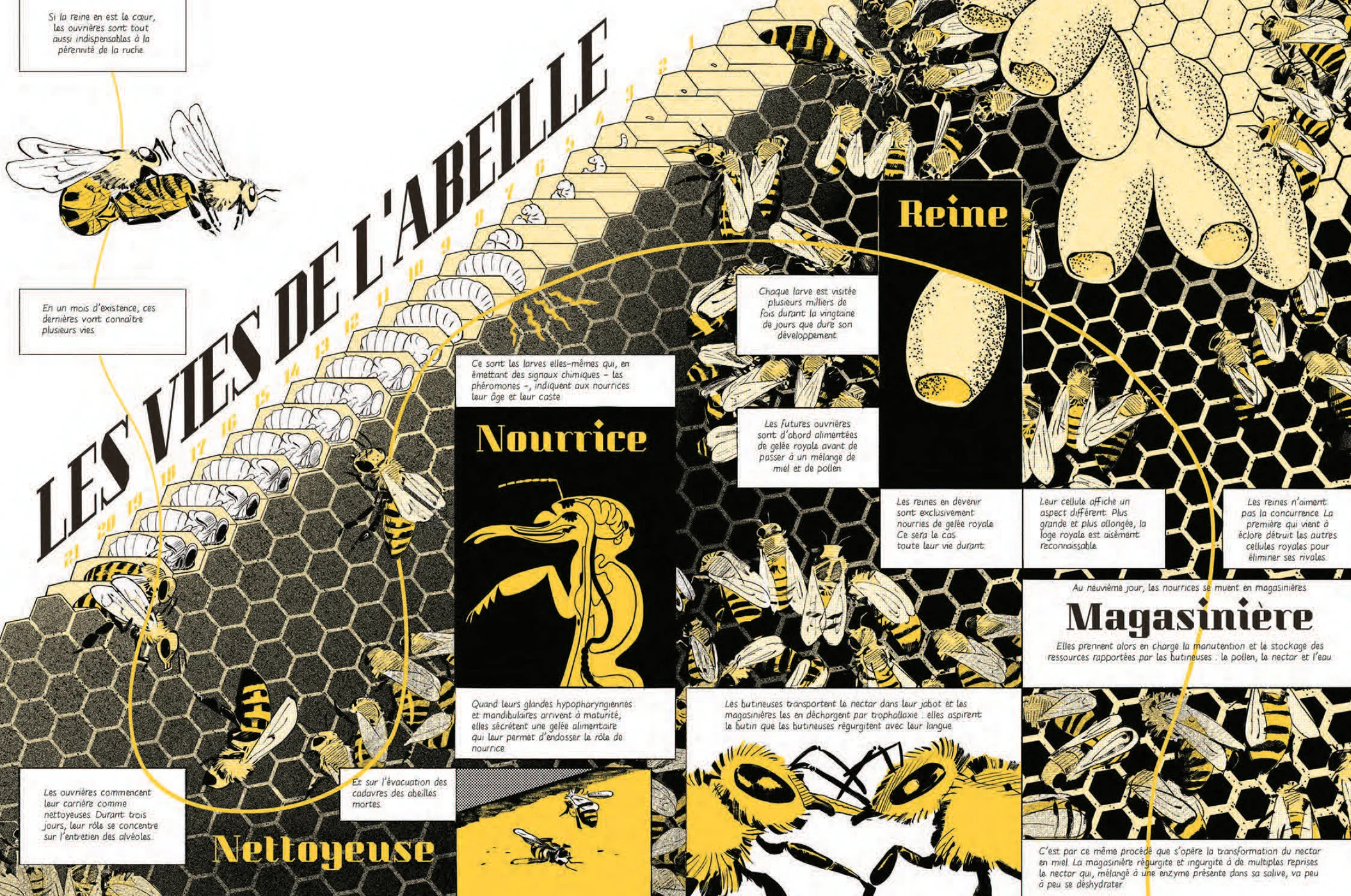 Les abeilles se cachent pour mourir - Image 4