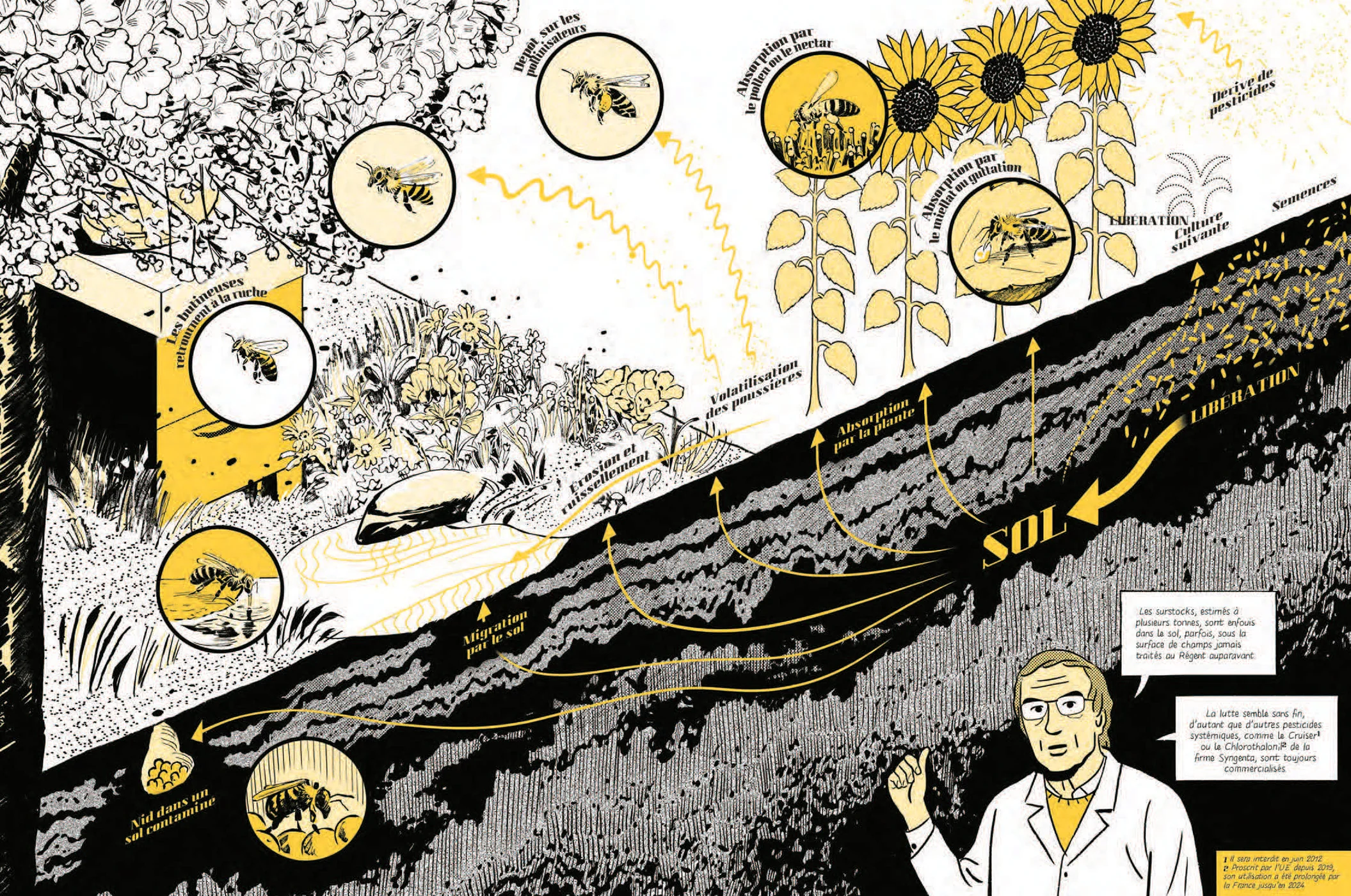 Les abeilles se cachent pour mourir - Image 8