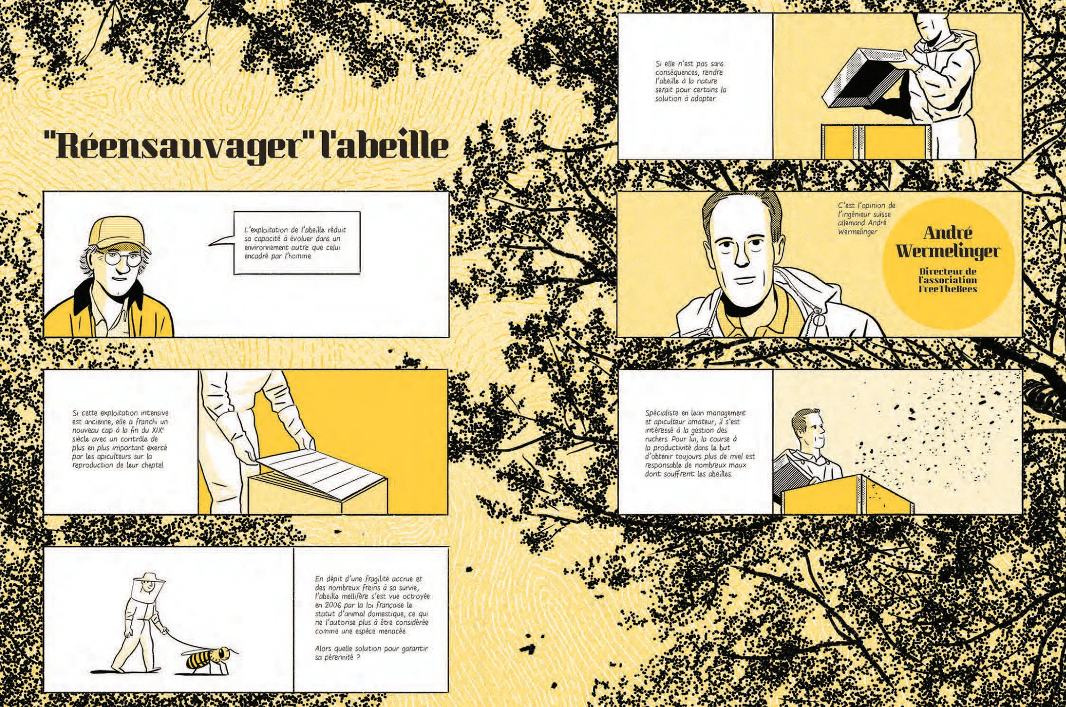 Les abeilles se cachent pour mourir - Image 9