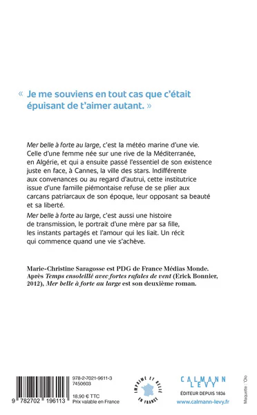 Mer belle à forte au large - Image 2