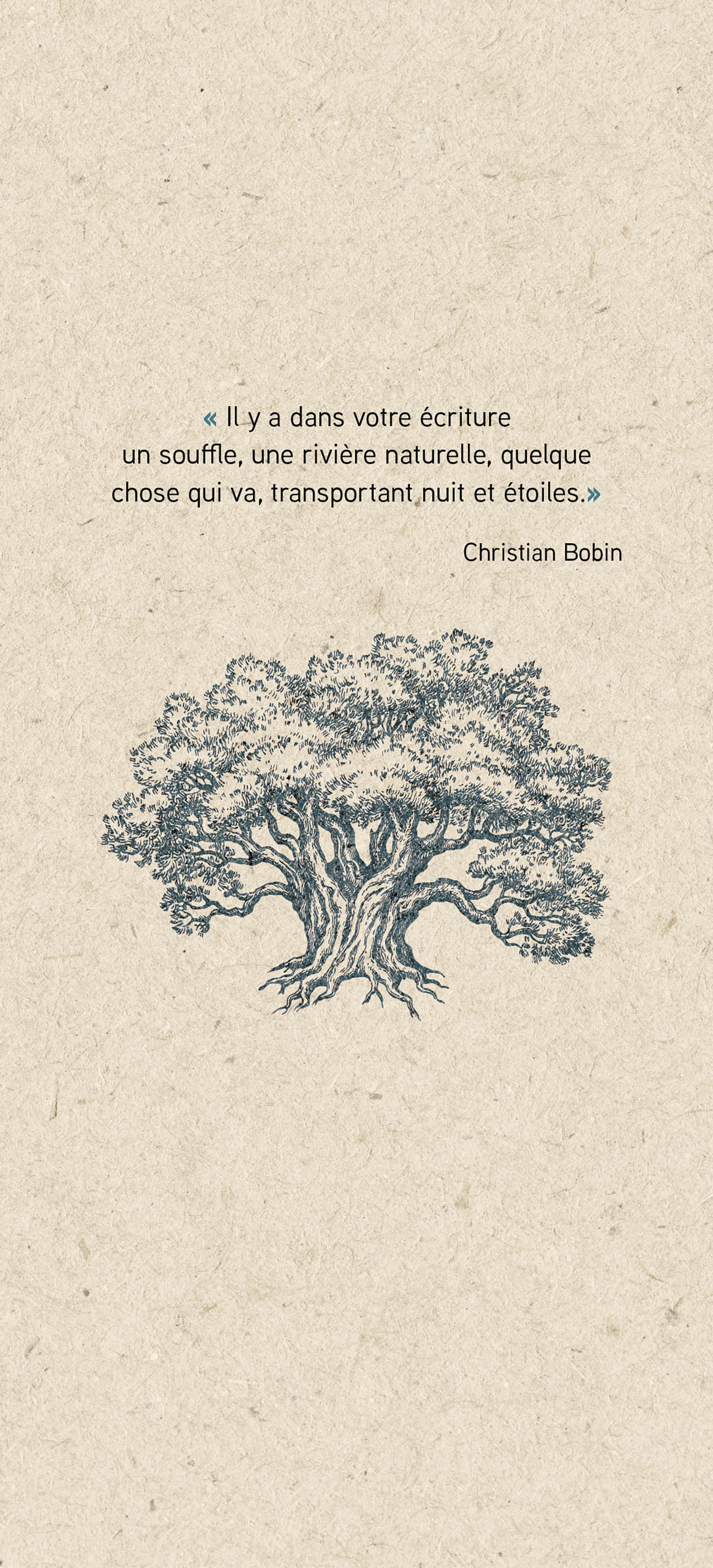 La révélation de l'arbre - Image 5