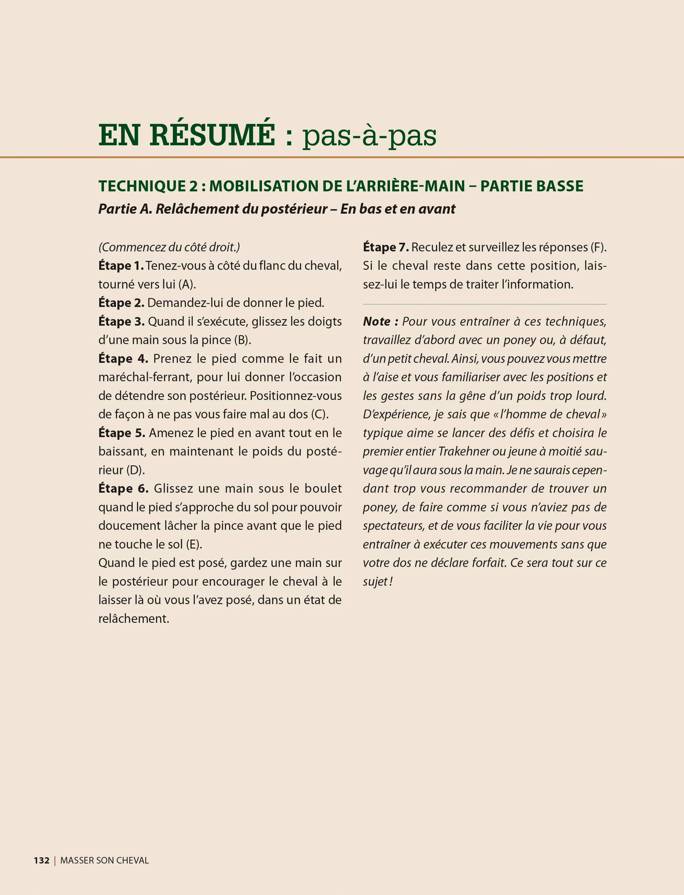 Masser son cheval : Soulager douleurs et tensions musculaires - Image 6