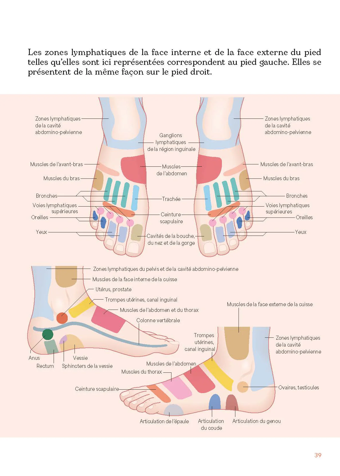 Le massage des zones réflexes - Image 3