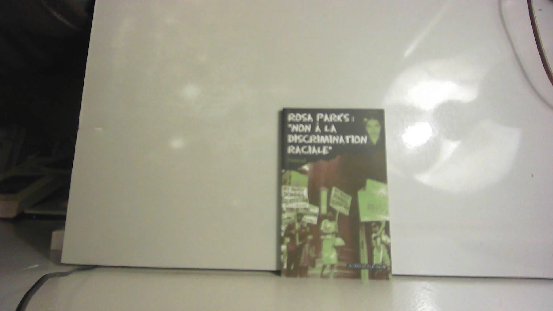 Rosa Parks : "Non à la discrimination raciale" - Image 2