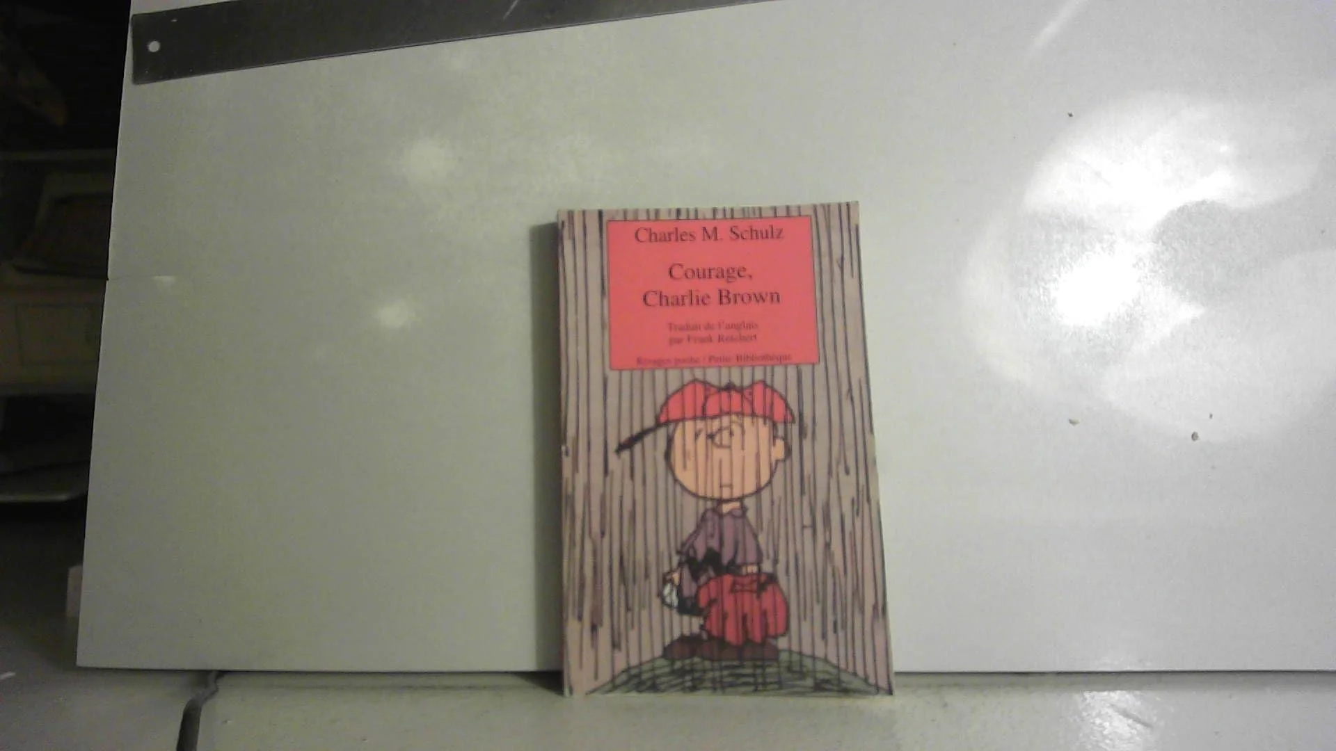 Courage, Charlie Brown - Image 2
