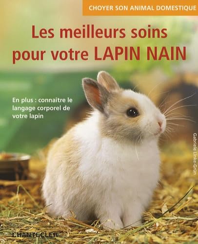 Les meilleurs soins pour votre lapin nain - Image 2