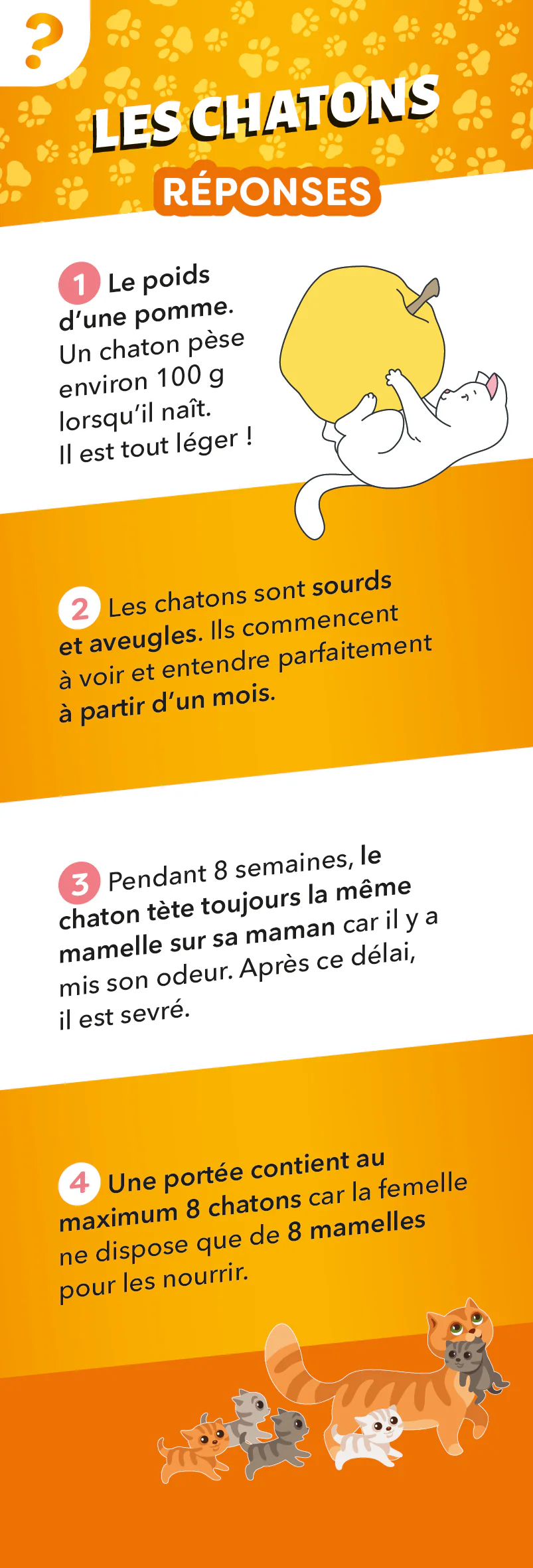 Les incollables - Éventail Passion - Les Chats - Image 4