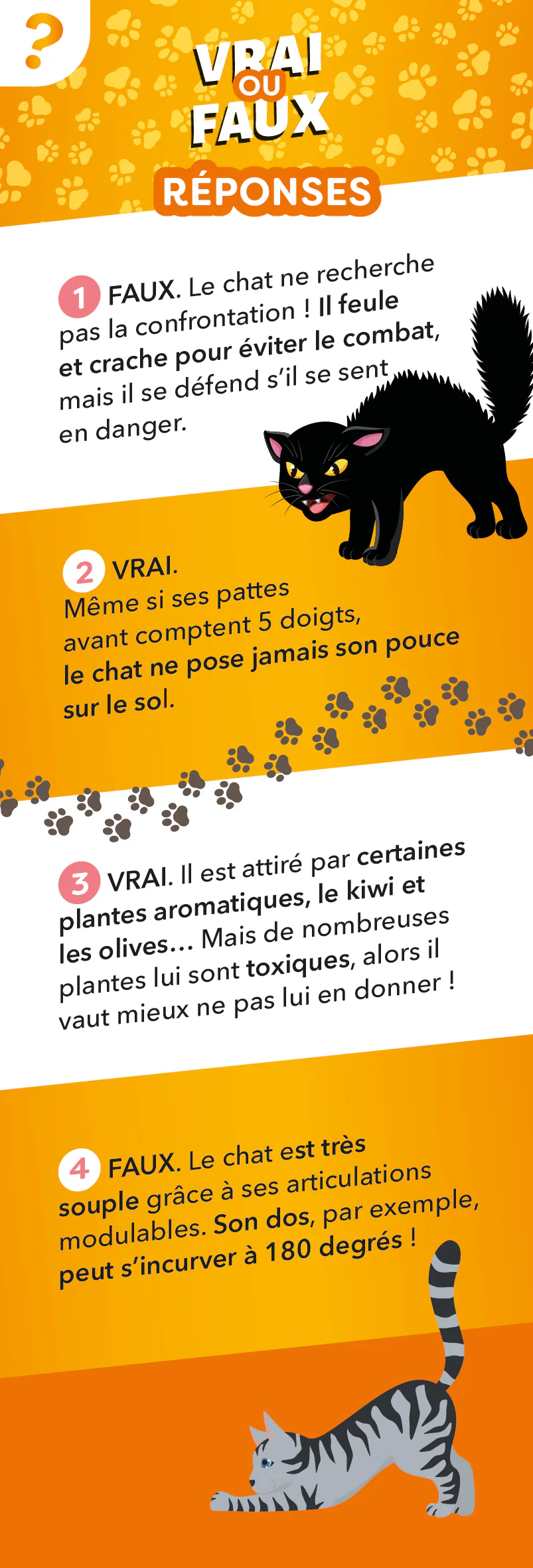 Les incollables - Éventail Passion - Les Chats - Image 7