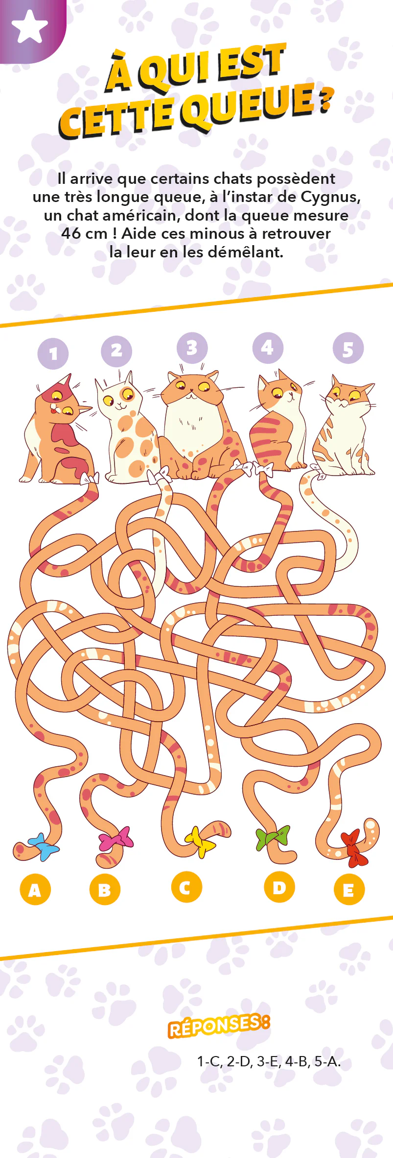 Les incollables - Éventail Passion - Les Chats - Image 8