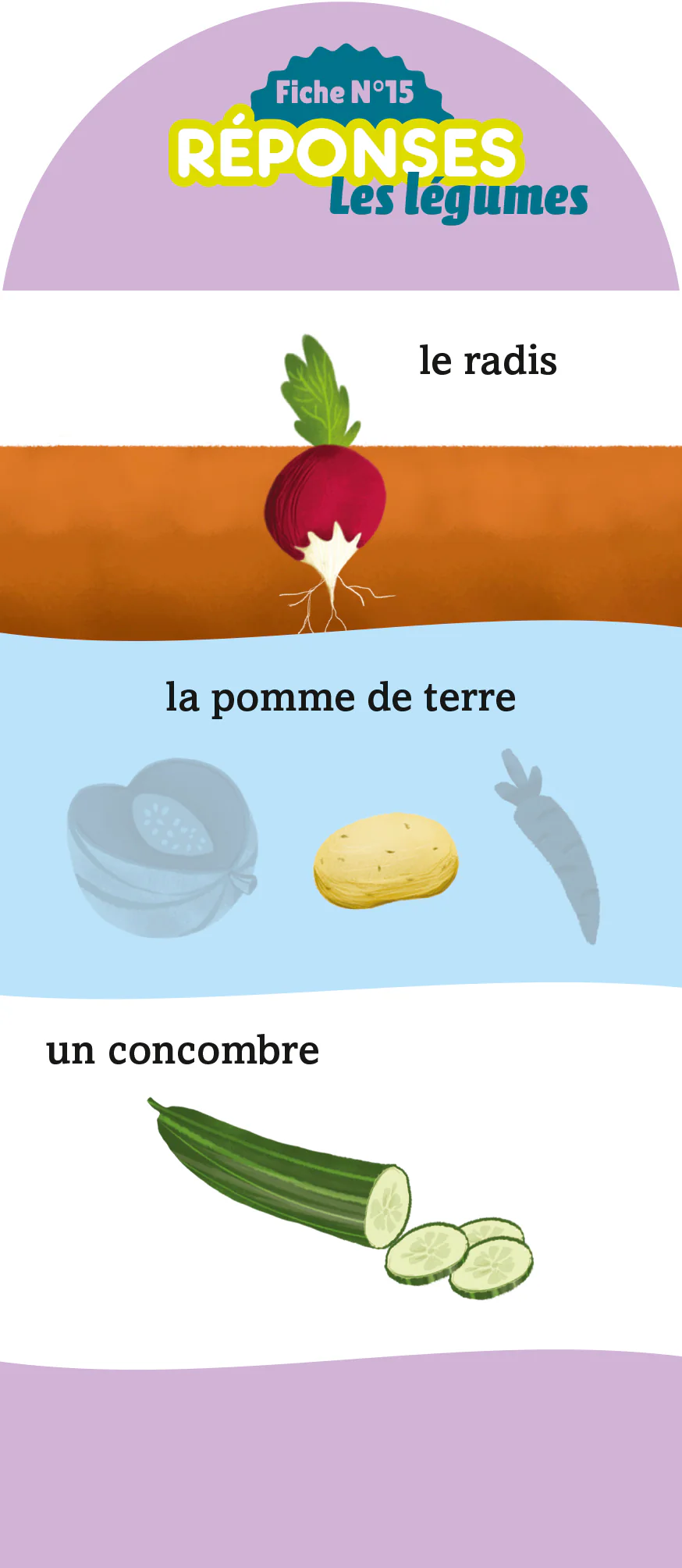 Les Incollables - 180 quiz pour réviser - De la GS au CP - 5/6 ans - Image 6