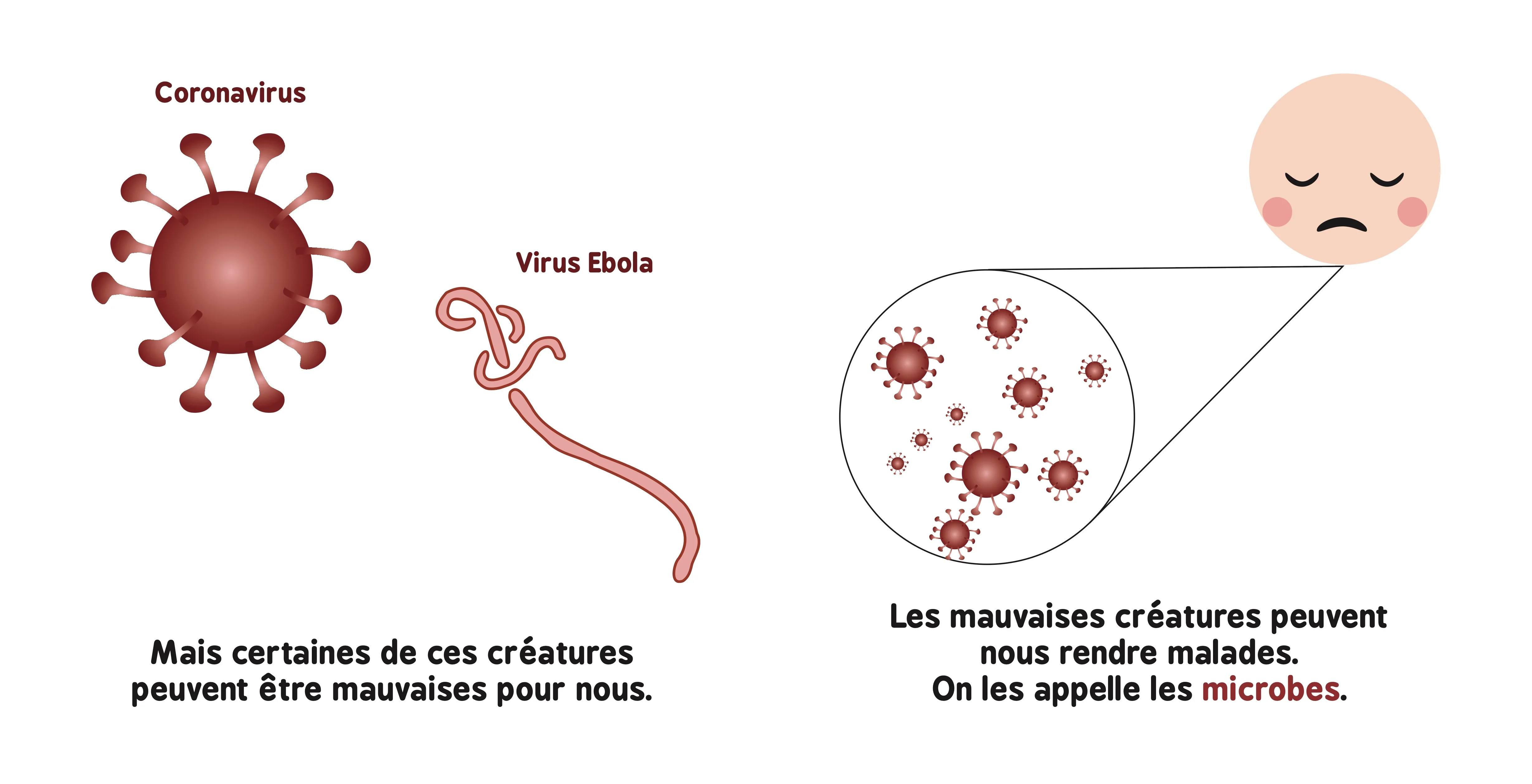 La théorie microbienne pour les bébés - Image 3