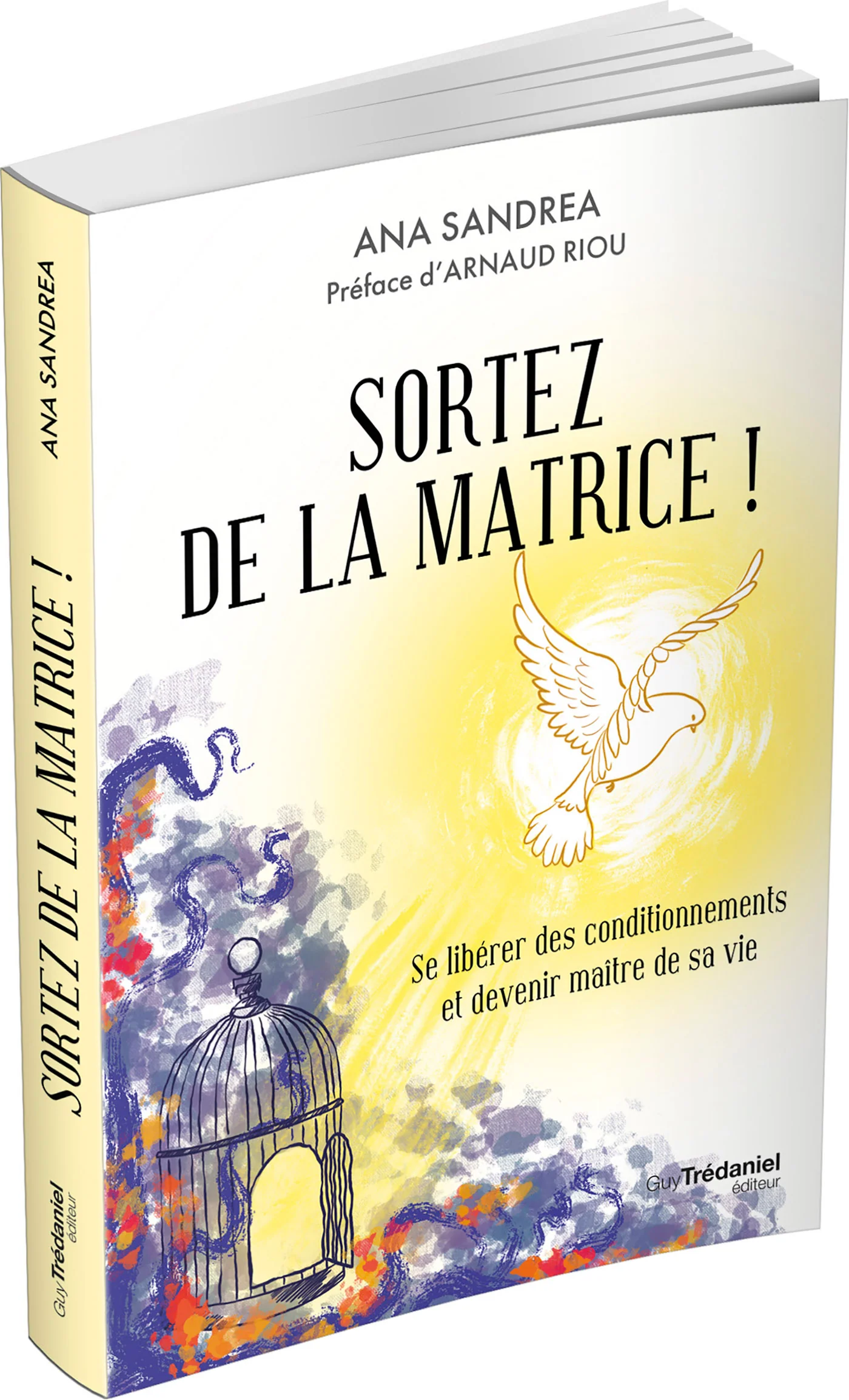 Sortez de la matrice ! - Se libérer de ses conditionnements et devenir maître de sa vie - Image 3