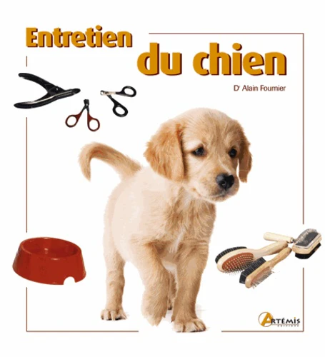 Entretien du chien - Image 2