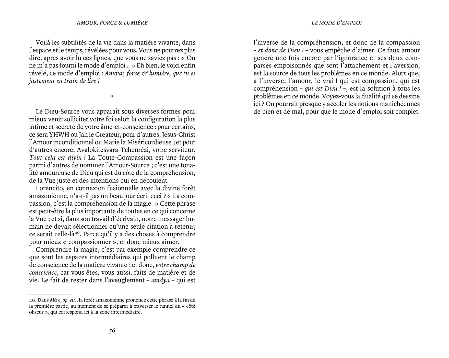 Amour, force & lumière, La Loi divine expliquée par les esprits - Image 3