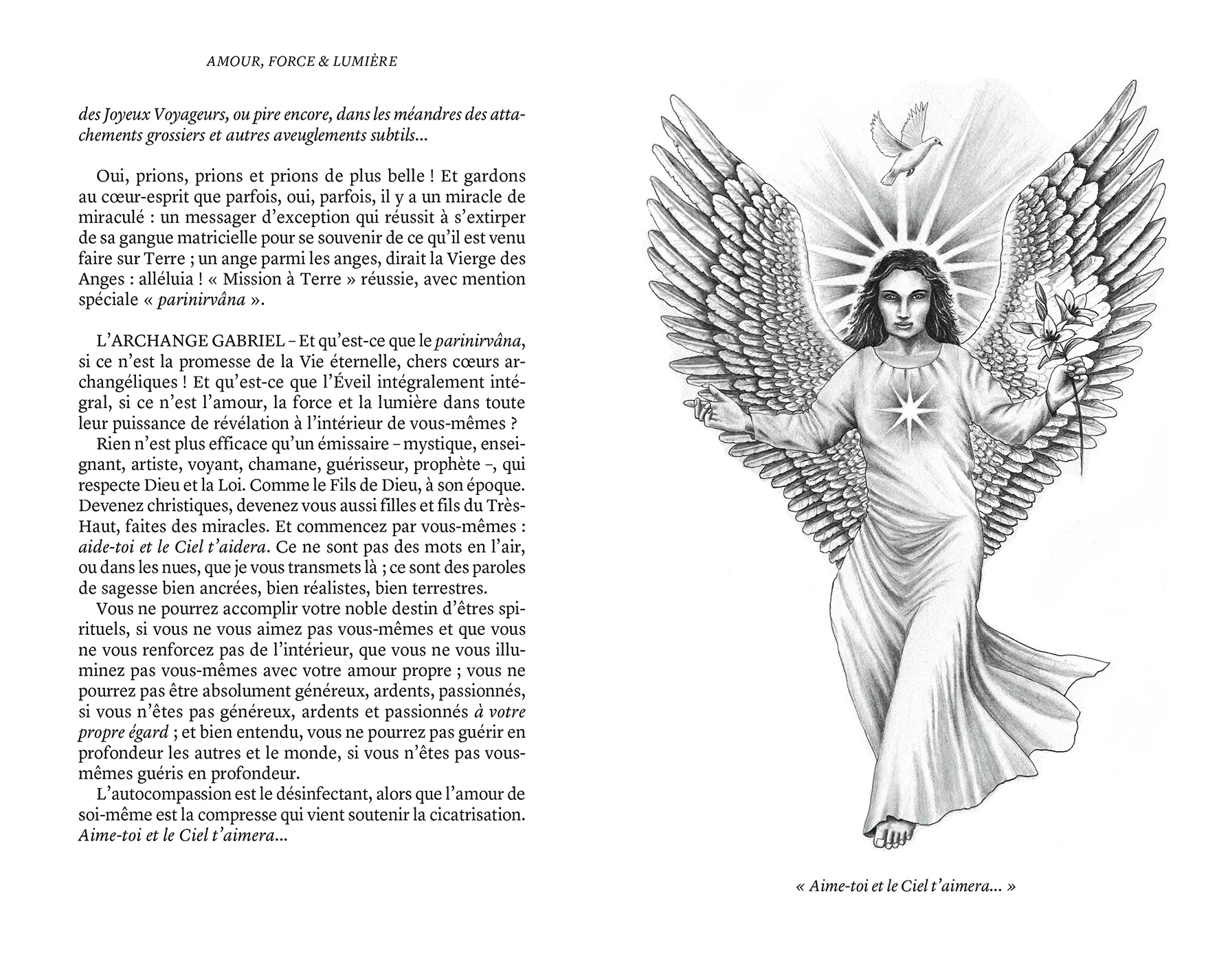 Amour, force & lumière, La Loi divine expliquée par les esprits - Image 5