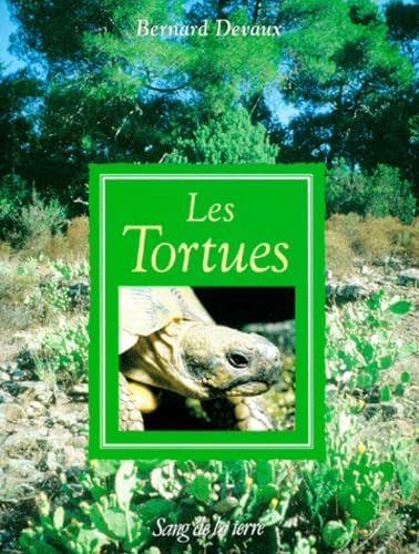 Les tortues - Image 2