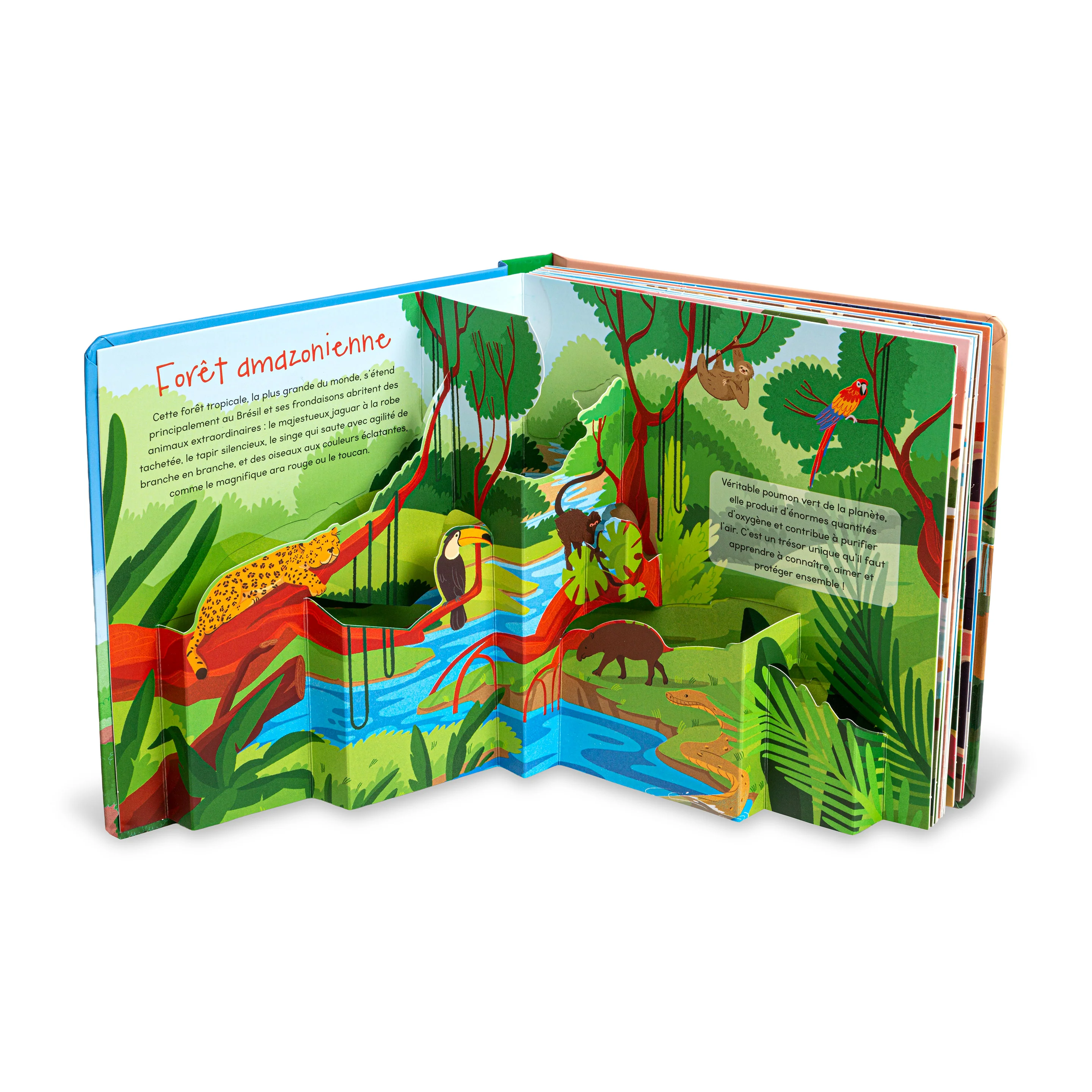 Voyages en pop-up - Brésil en pop-up: Un livre animé pour petits et grands explorateurs - Image 2